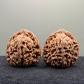 Nanjiang Stone Lion Head Wenwan Walnut