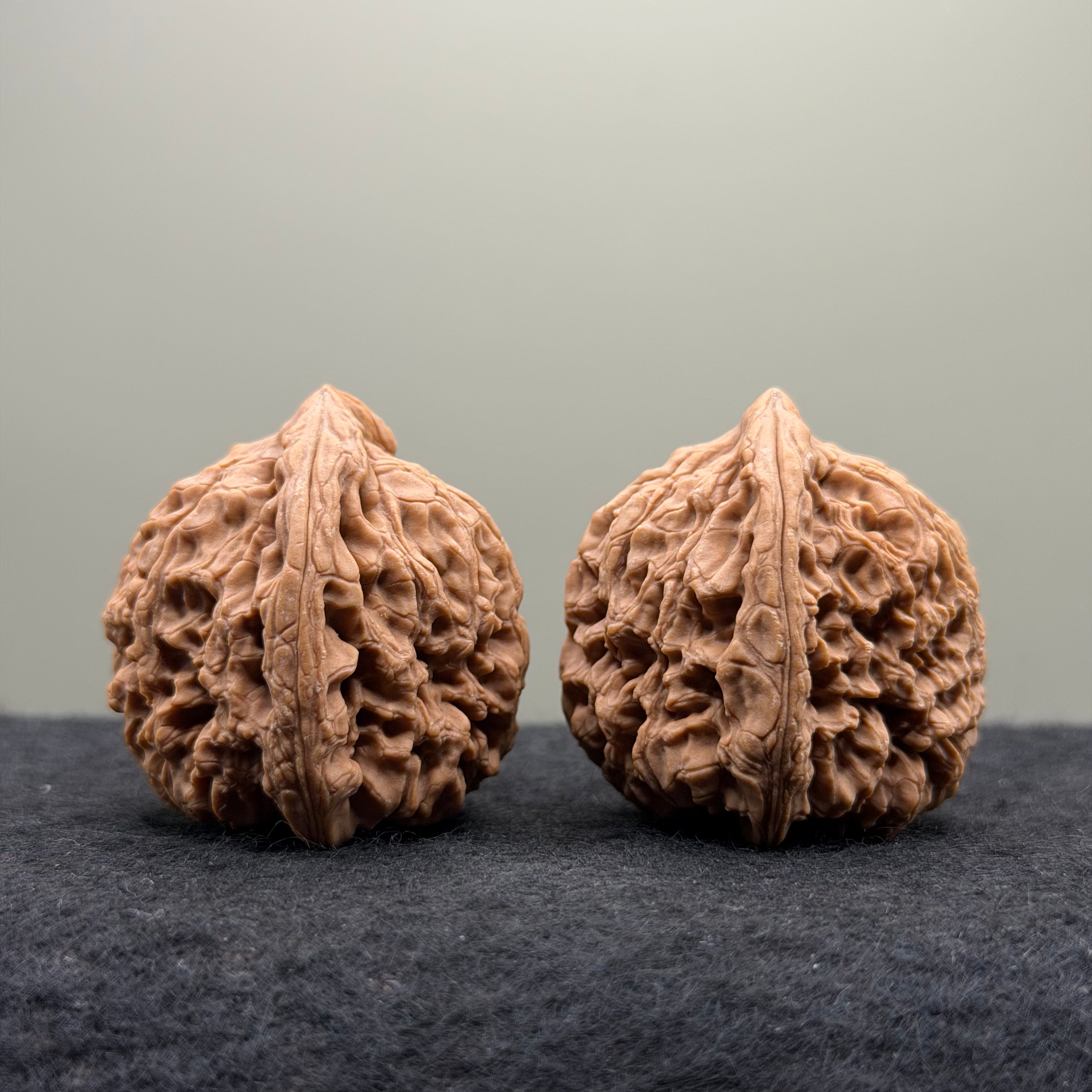 Nanjiang Stone Lion Head Wenwan Walnut