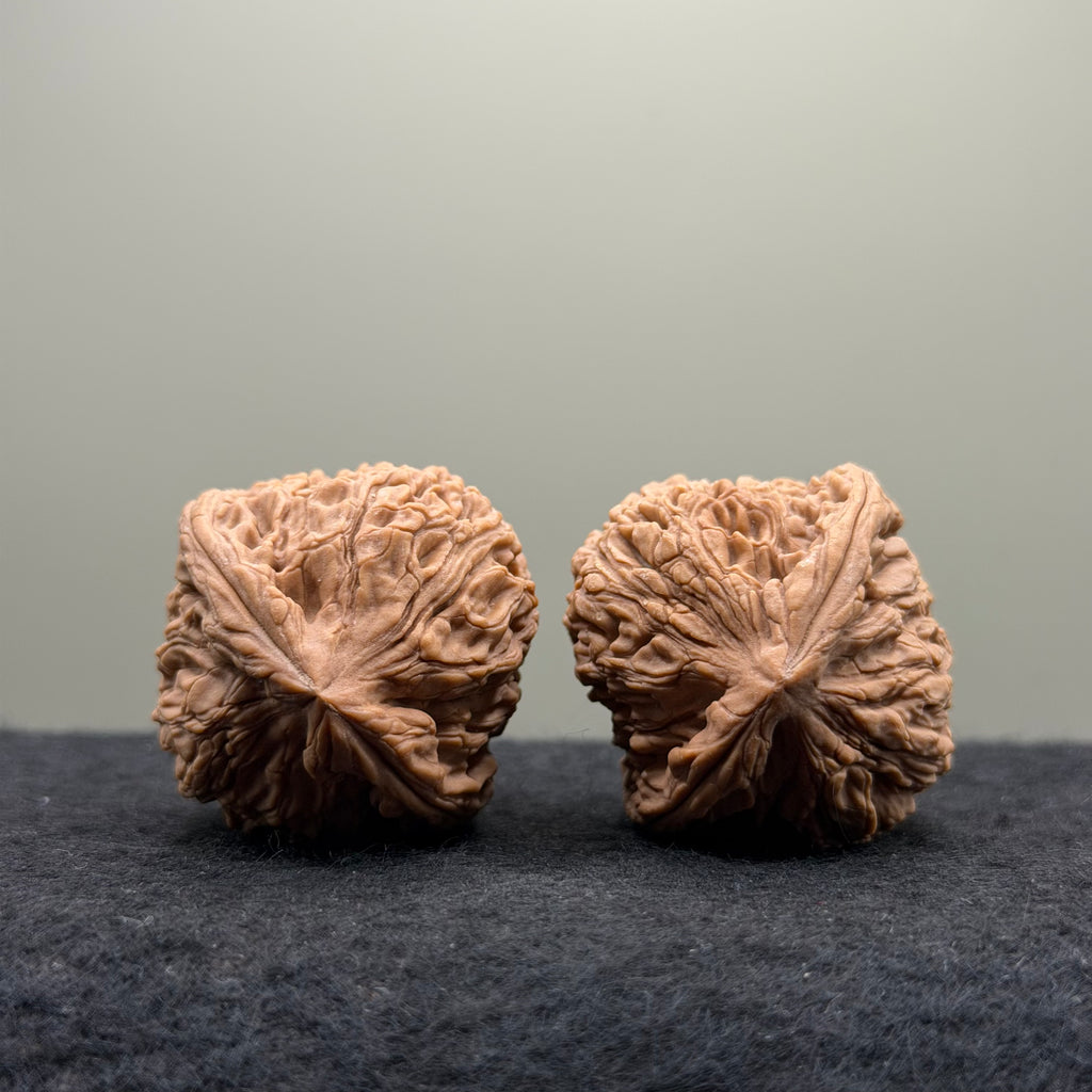 Nanjiang Stone Lion Head Wenwan Walnut