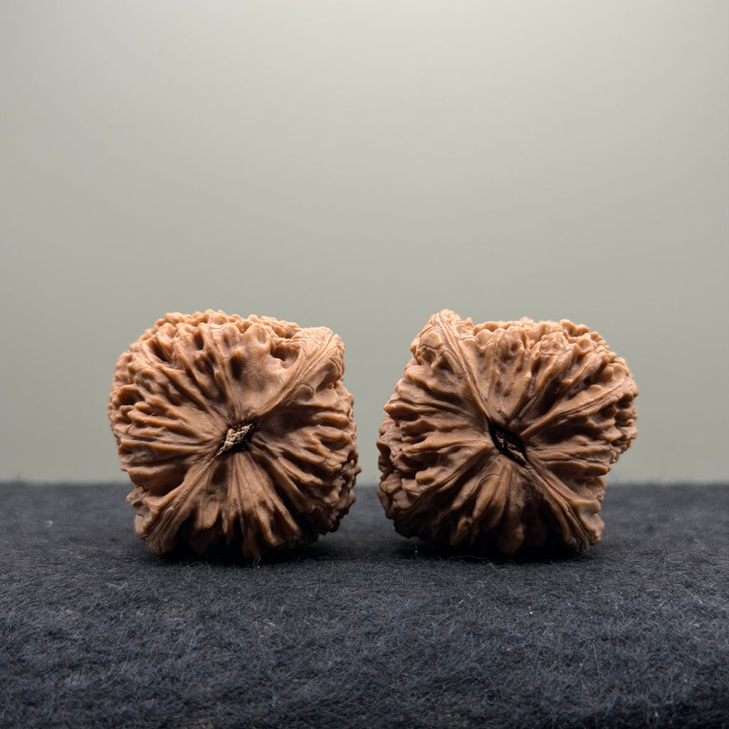 Nanjiang Stone Lion Head Wenwan Walnut
