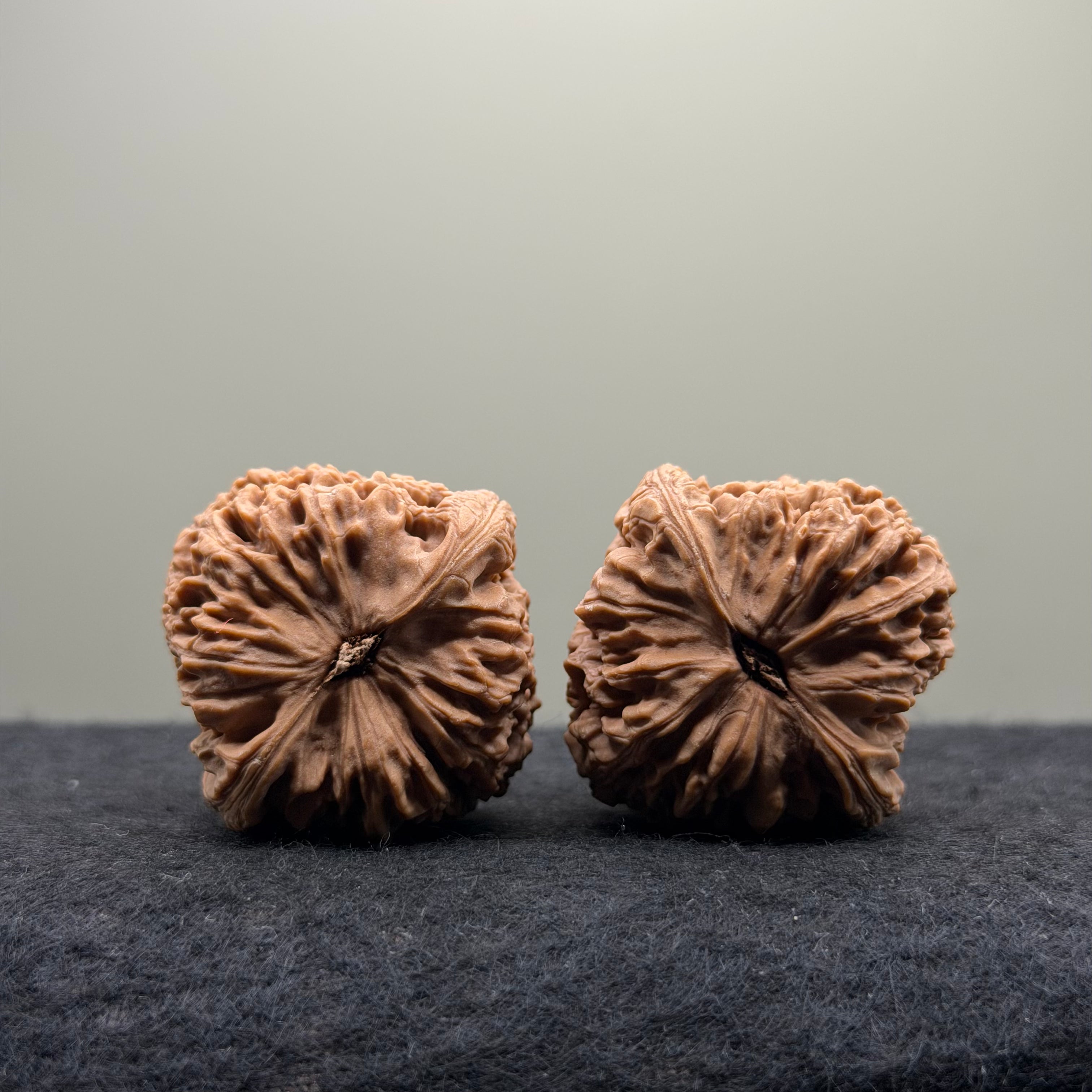 Nanjiang Stone Lion Head Wenwan Walnut