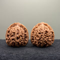 Nanjiang Stone Lion Head Wenwan Walnut
