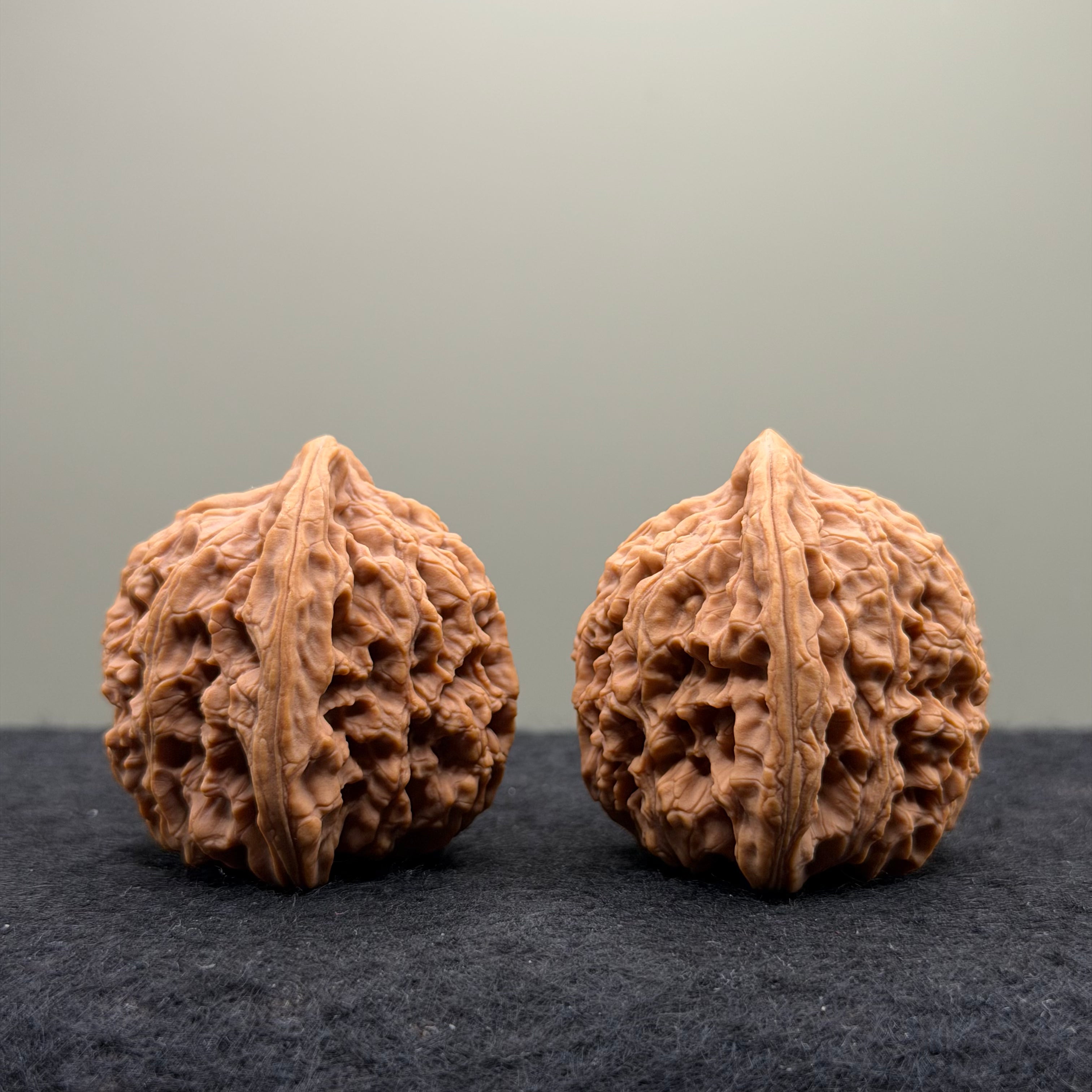 Nanjiang Stone Lion Head Wenwan Walnut