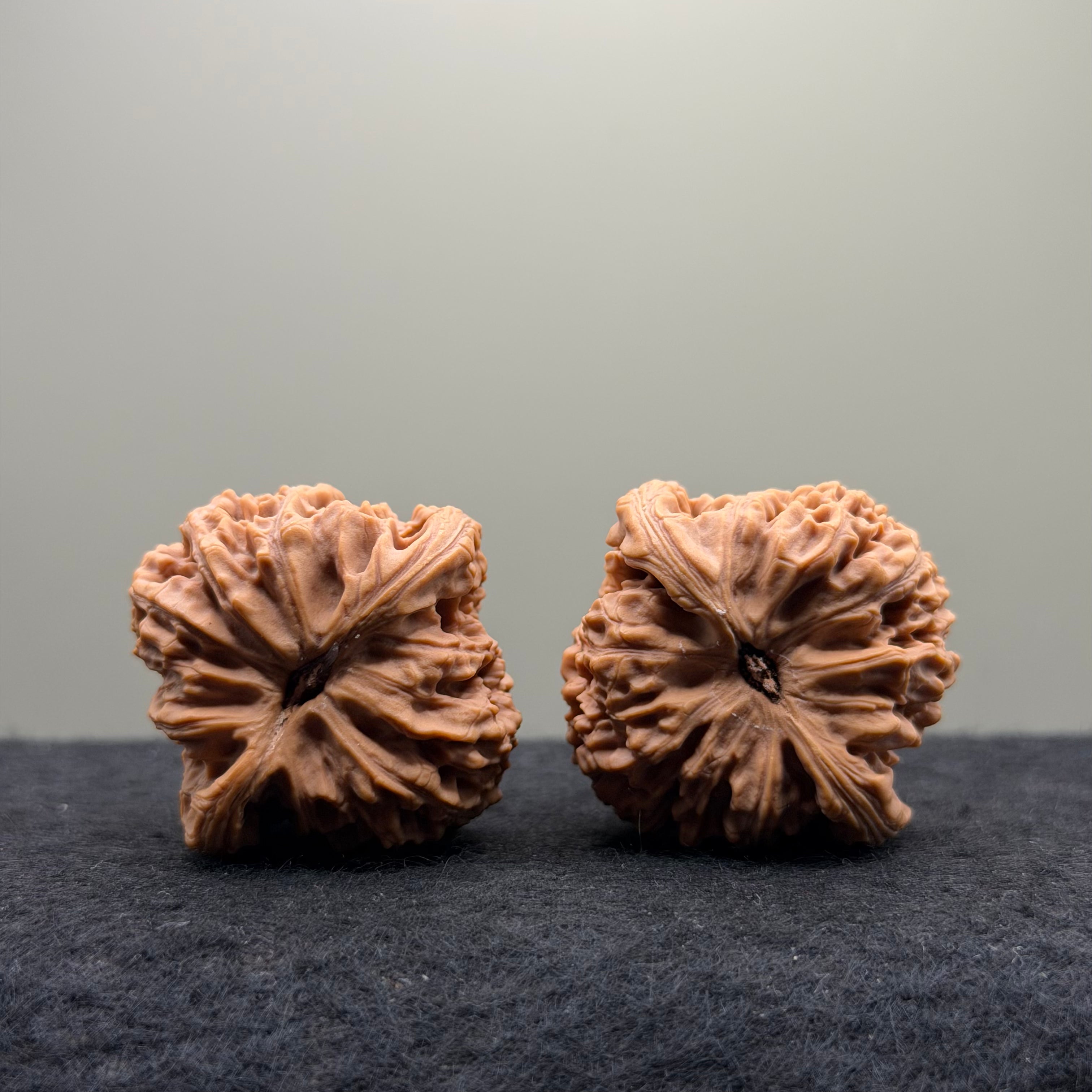Nanjiang Stone Lion Head Wenwan Walnut