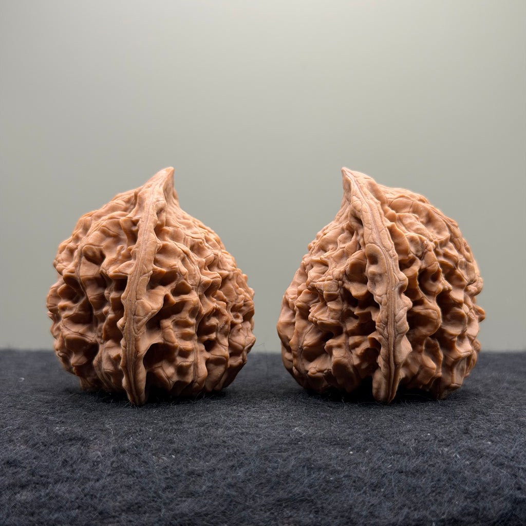 Snake Head Wenwan Walnut