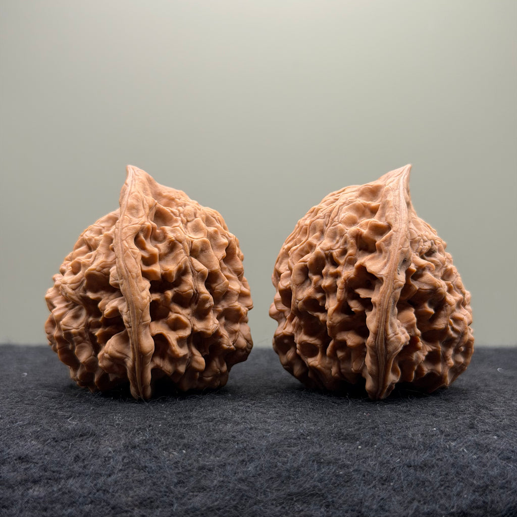 Snake Head Wenwan Walnut