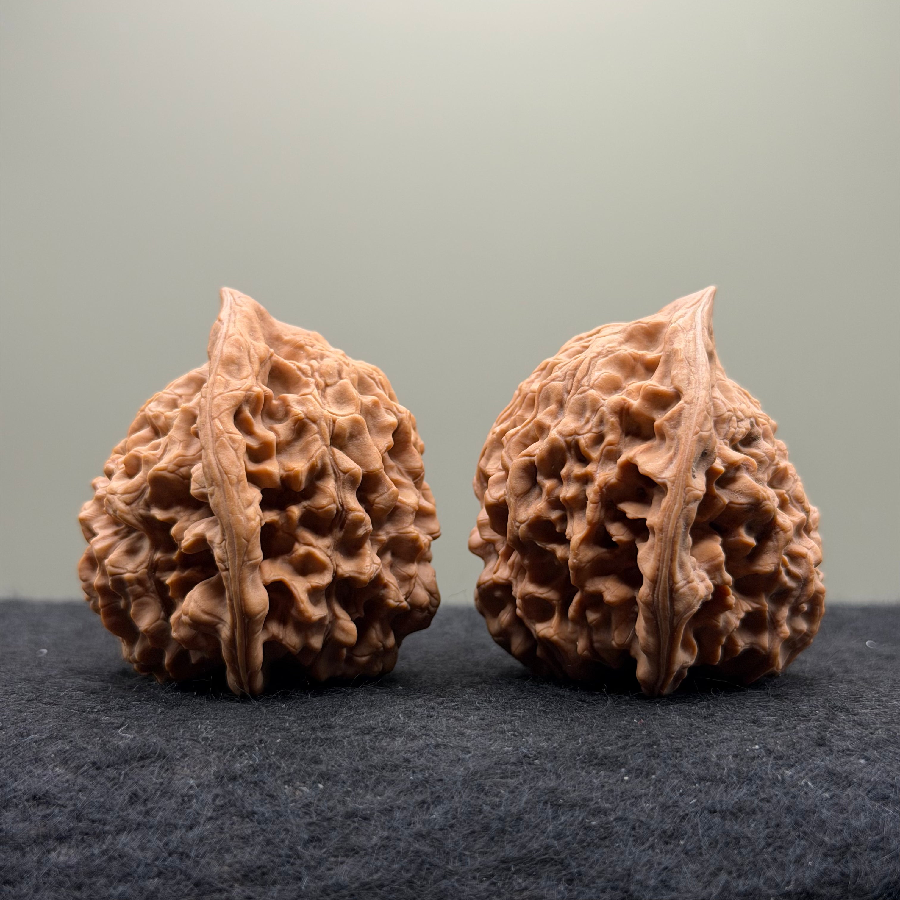 Snake Head Wenwan Walnut