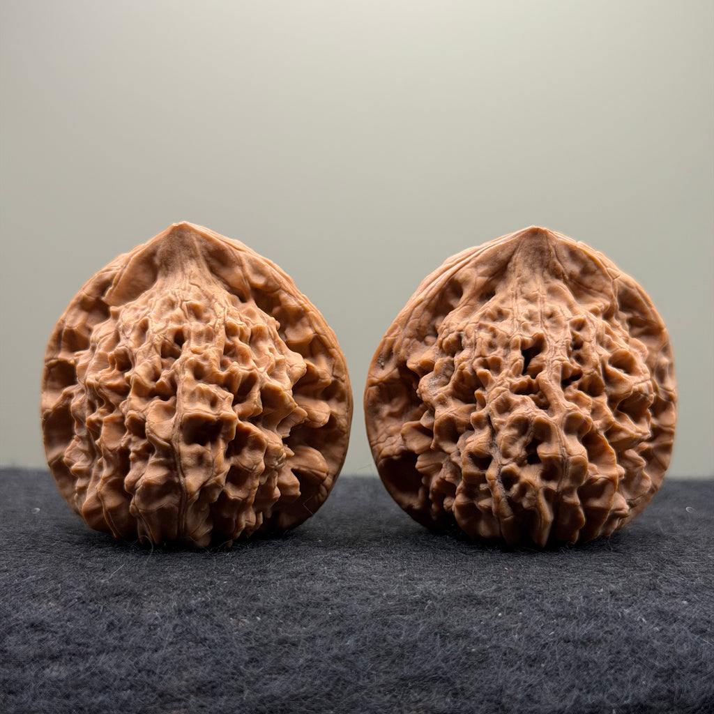Snake Head Wenwan Walnut