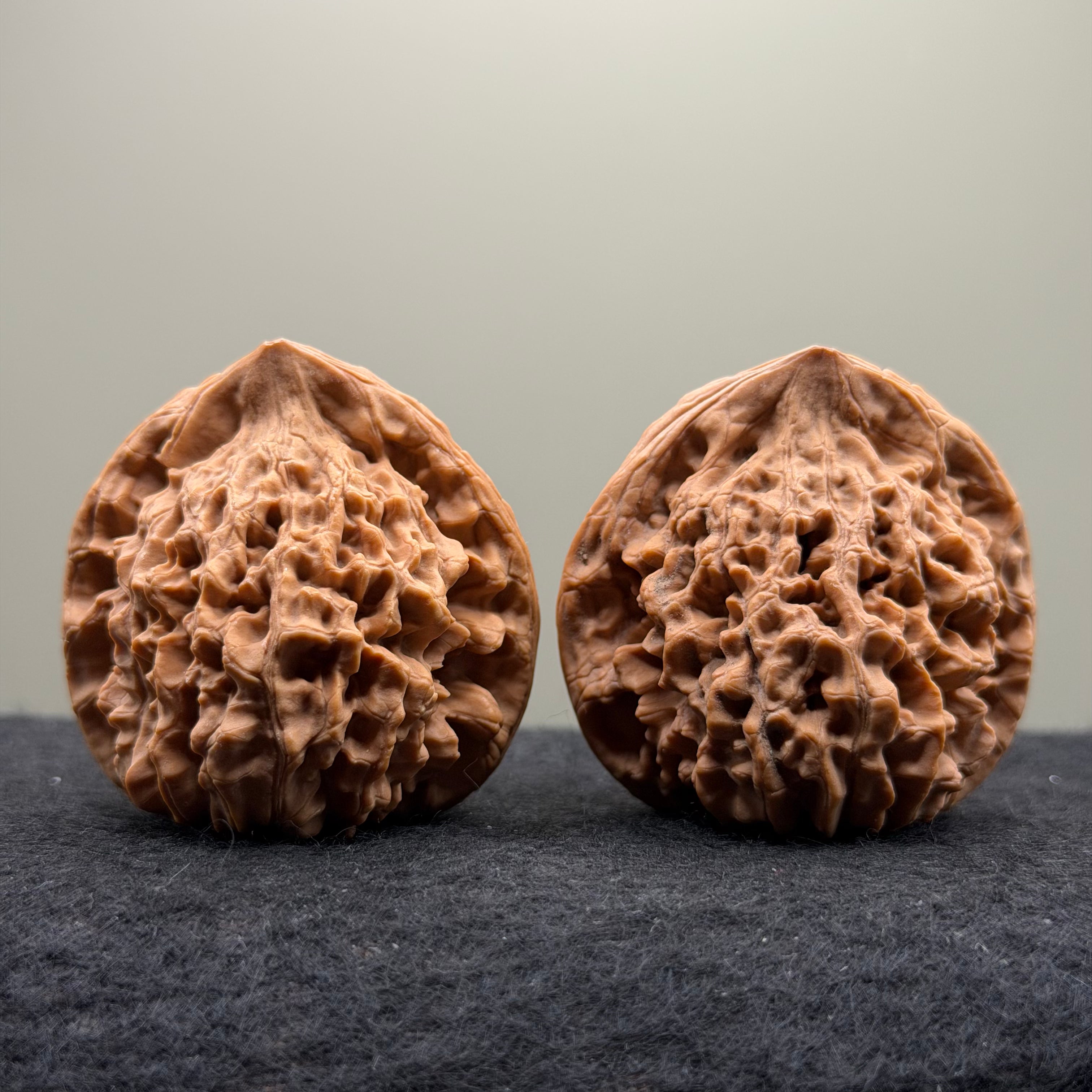 Snake Head Wenwan Walnut