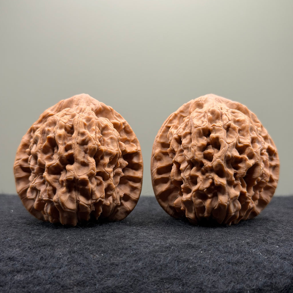 Snake Head Wenwan Walnut