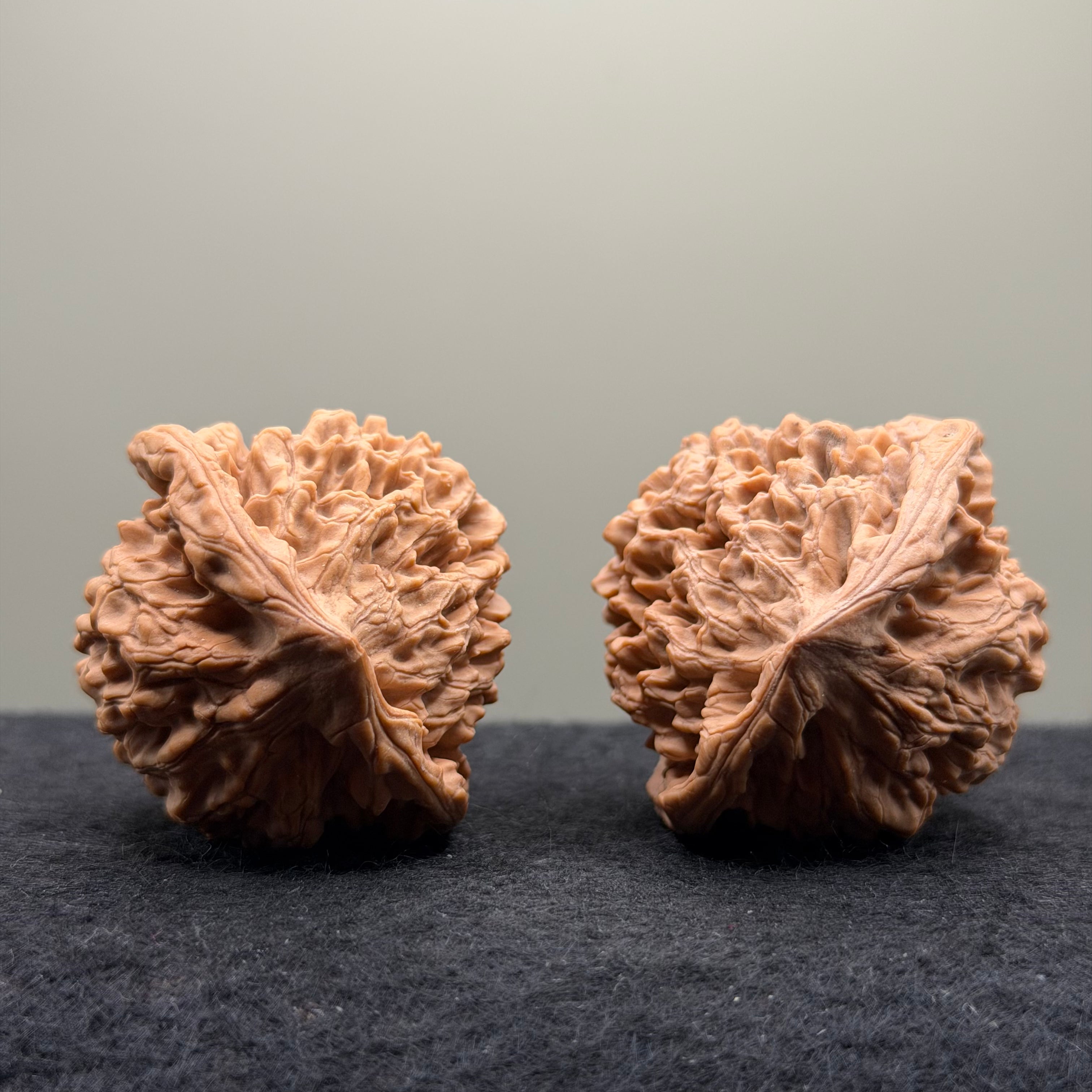 Snake Head Wenwan Walnut