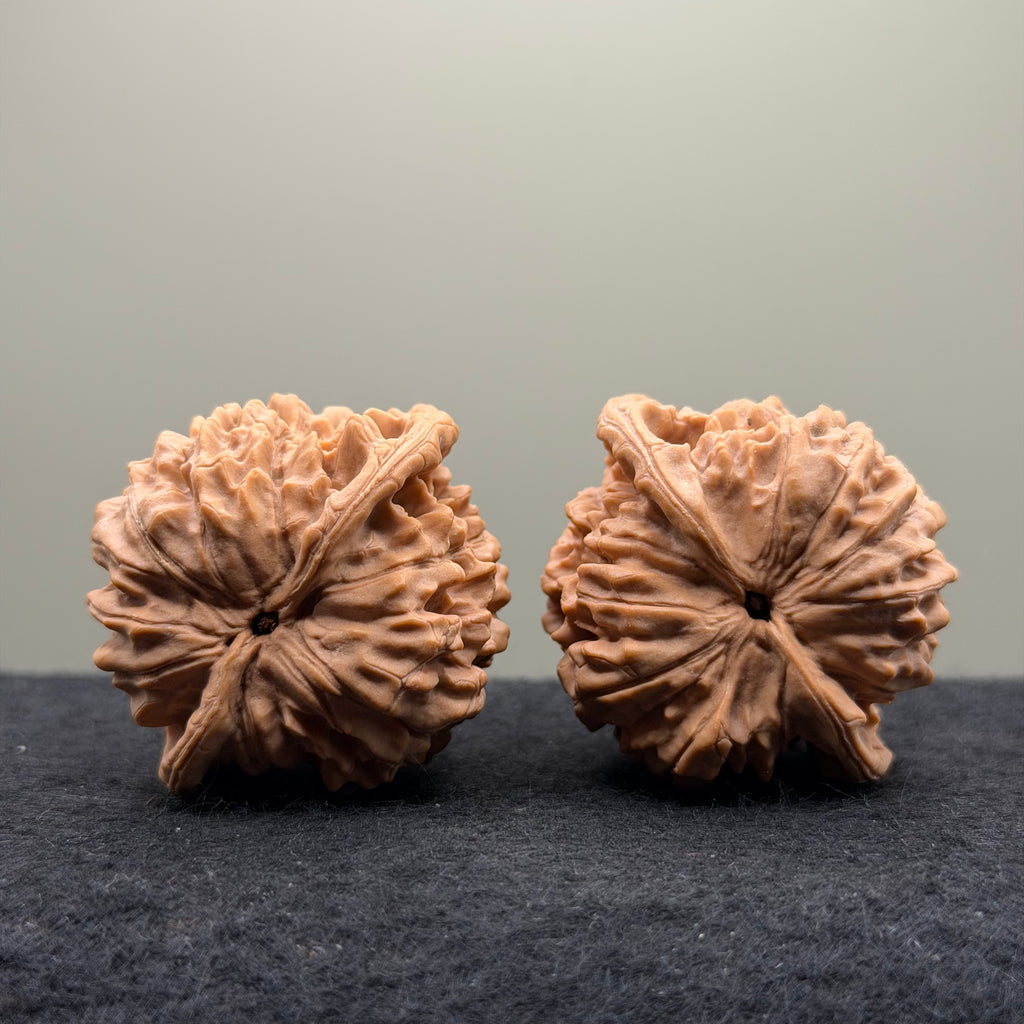 Snake Head Wenwan Walnut