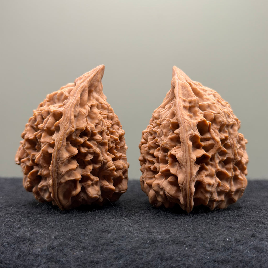 Snake Head Wenwan Walnut