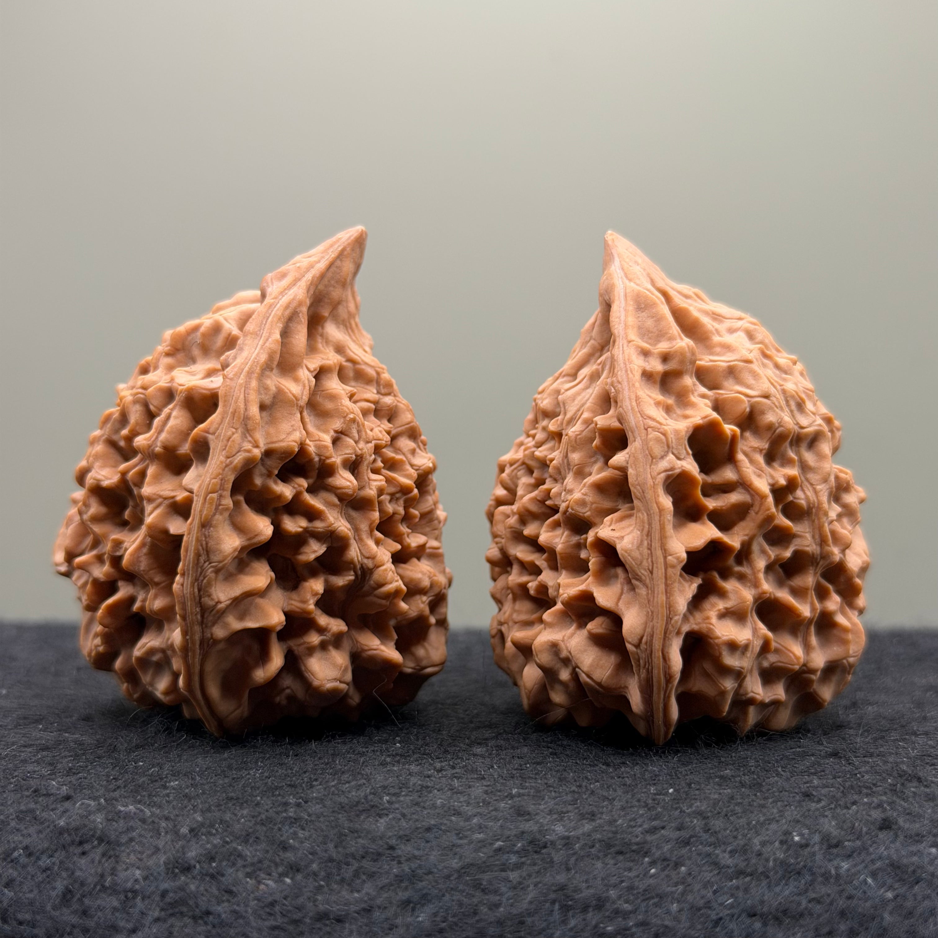 Snake Head Wenwan Walnut