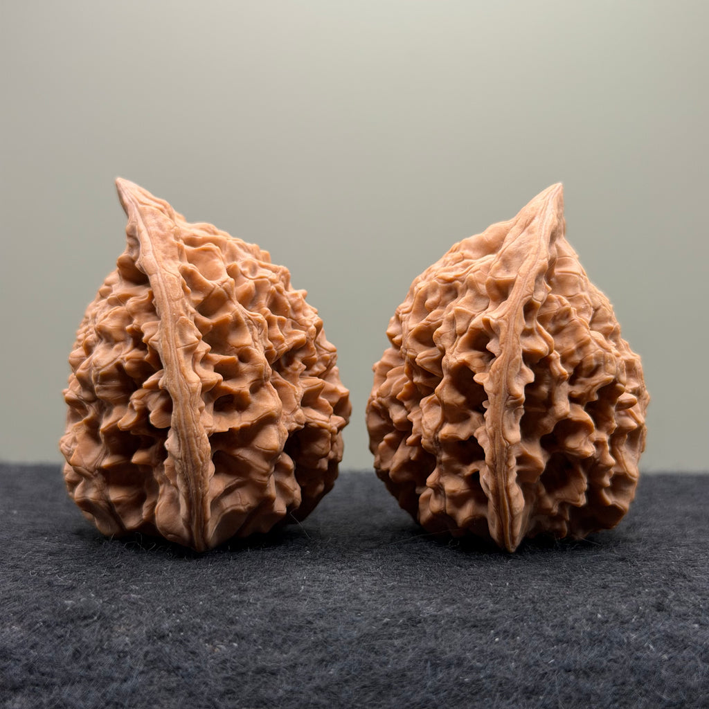 Snake Head Wenwan Walnut