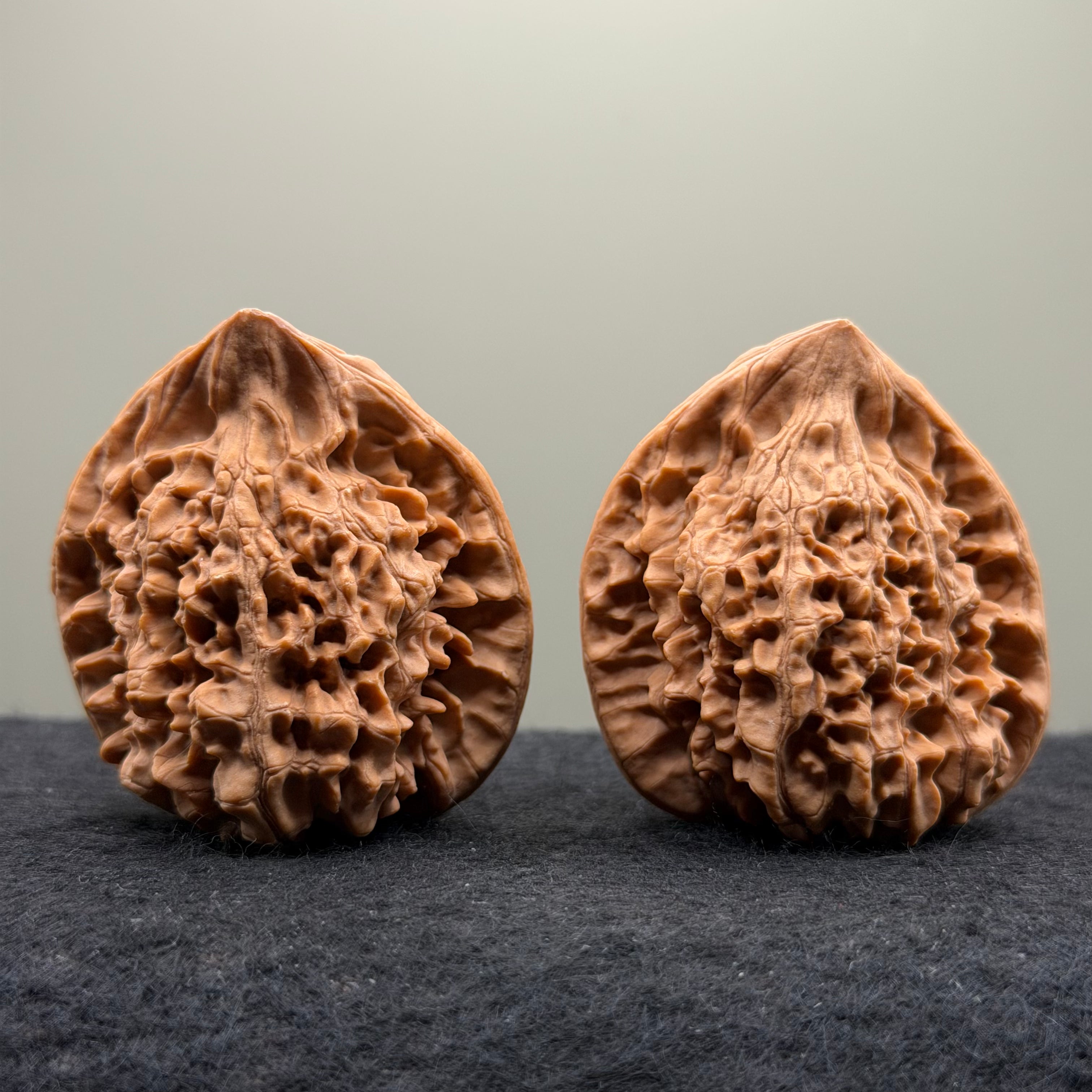 Snake Head Wenwan Walnut