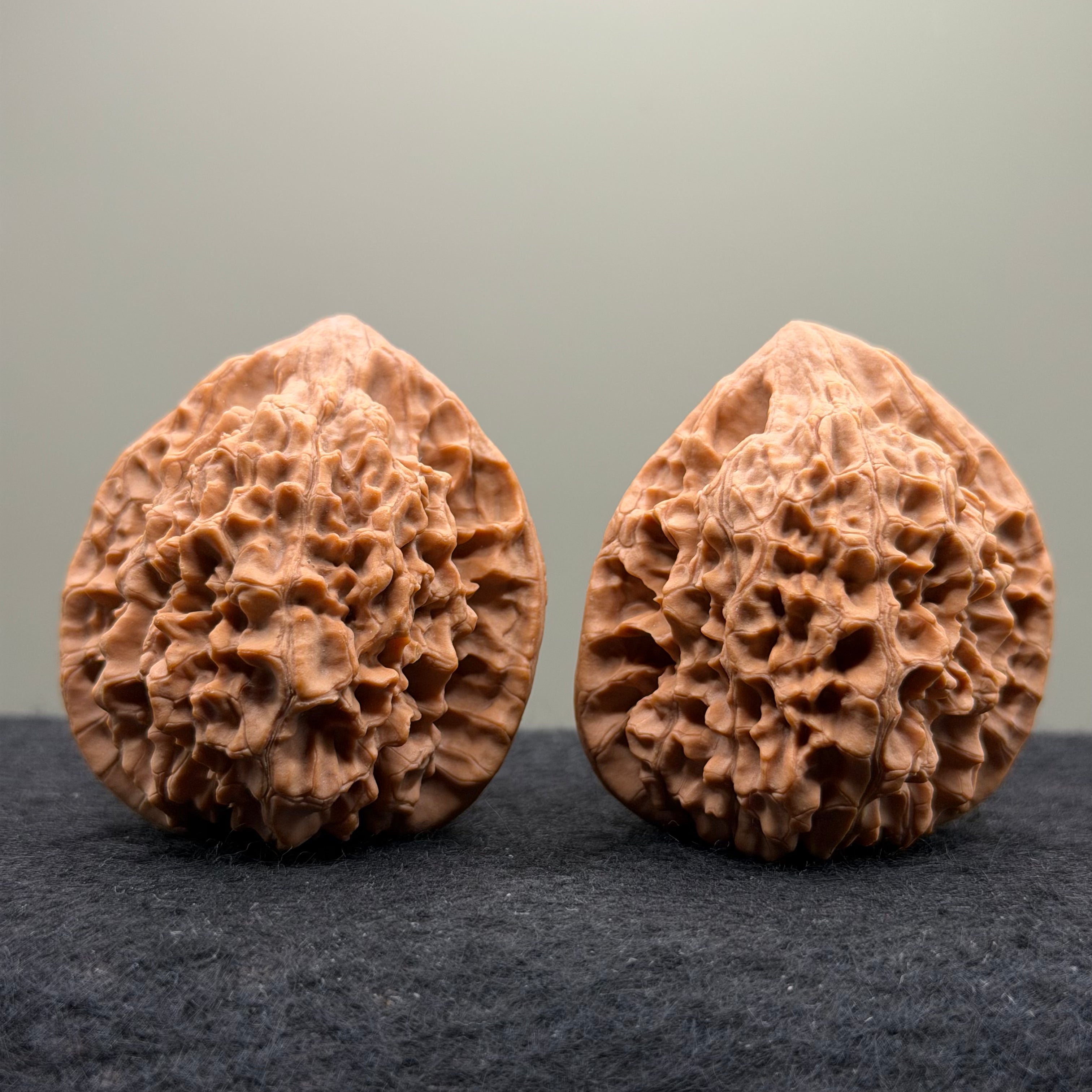Snake Head Wenwan Walnut