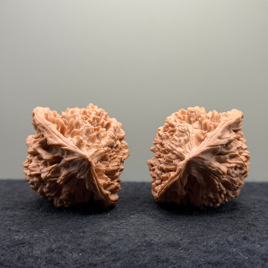 Snake Head Wenwan Walnut