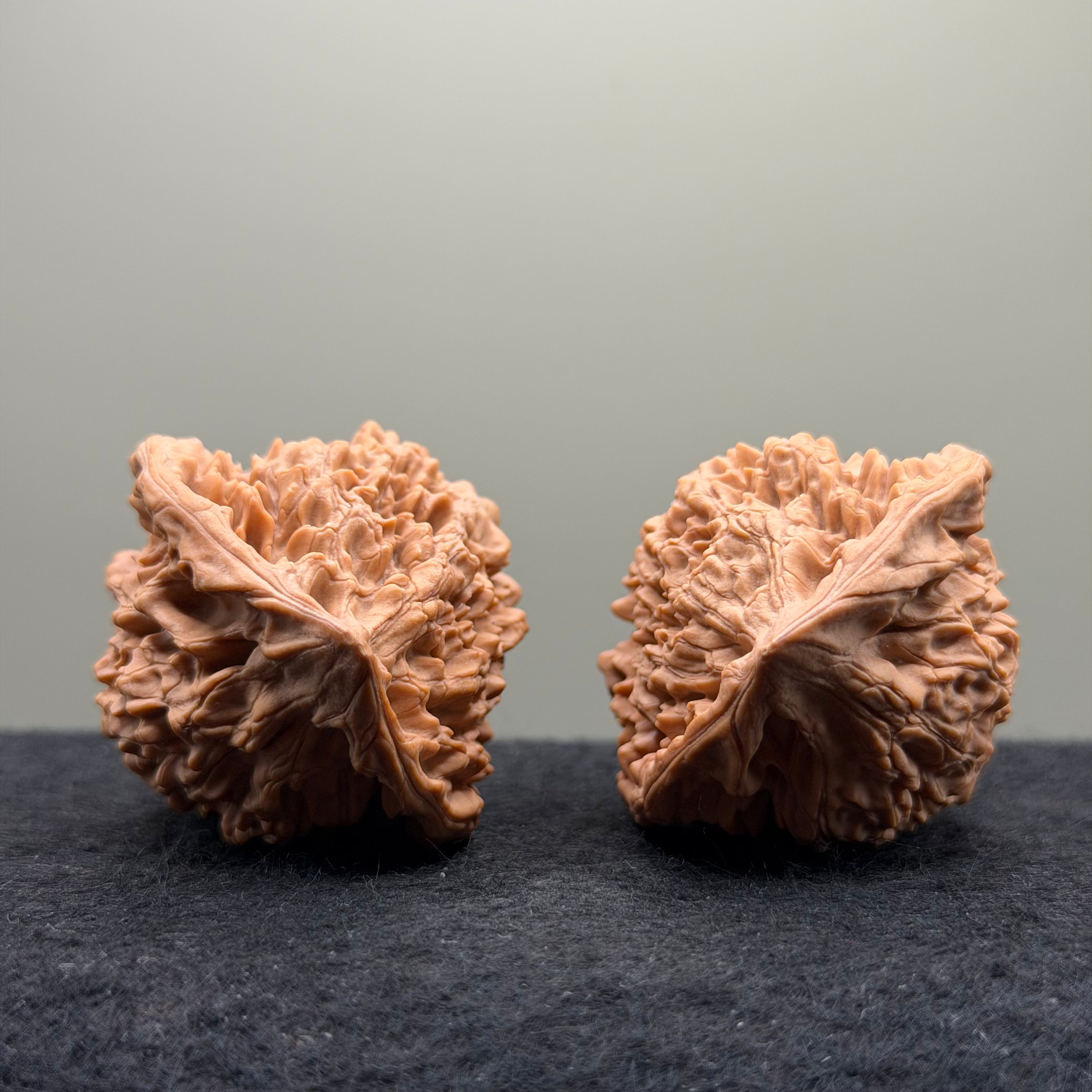 Snake Head Wenwan Walnut