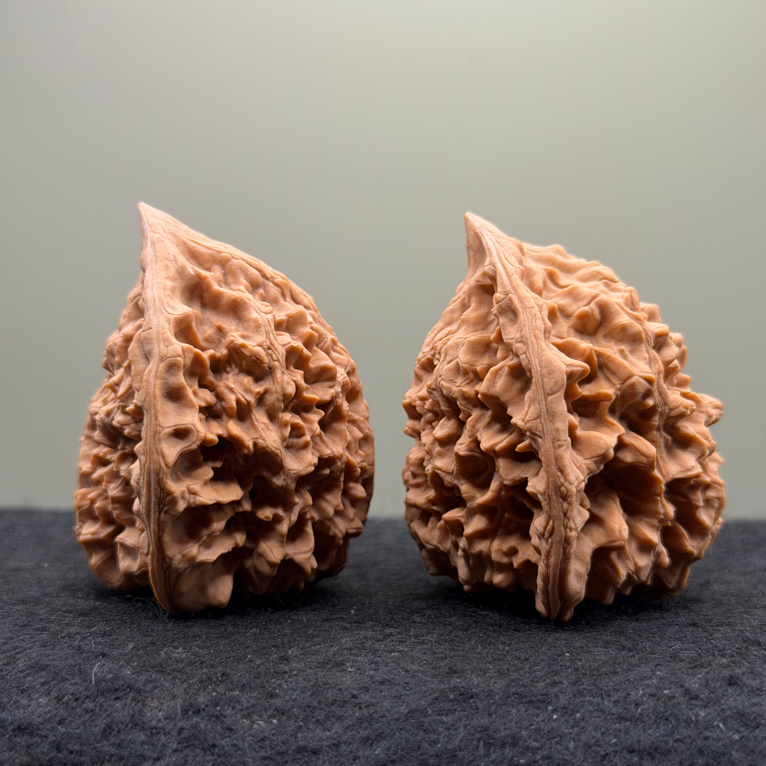 Snake Head Wenwan Walnut
