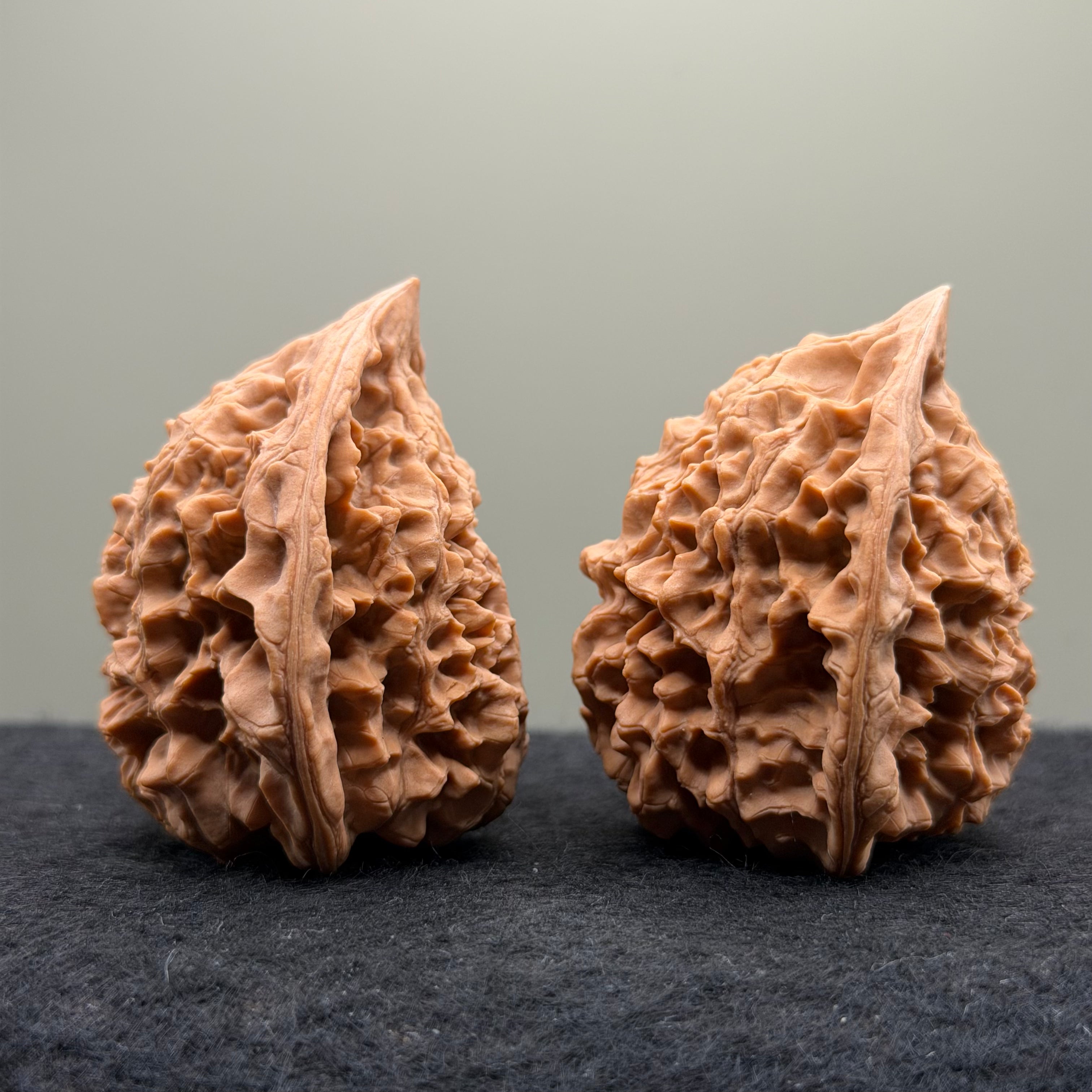 Snake Head Wenwan Walnut