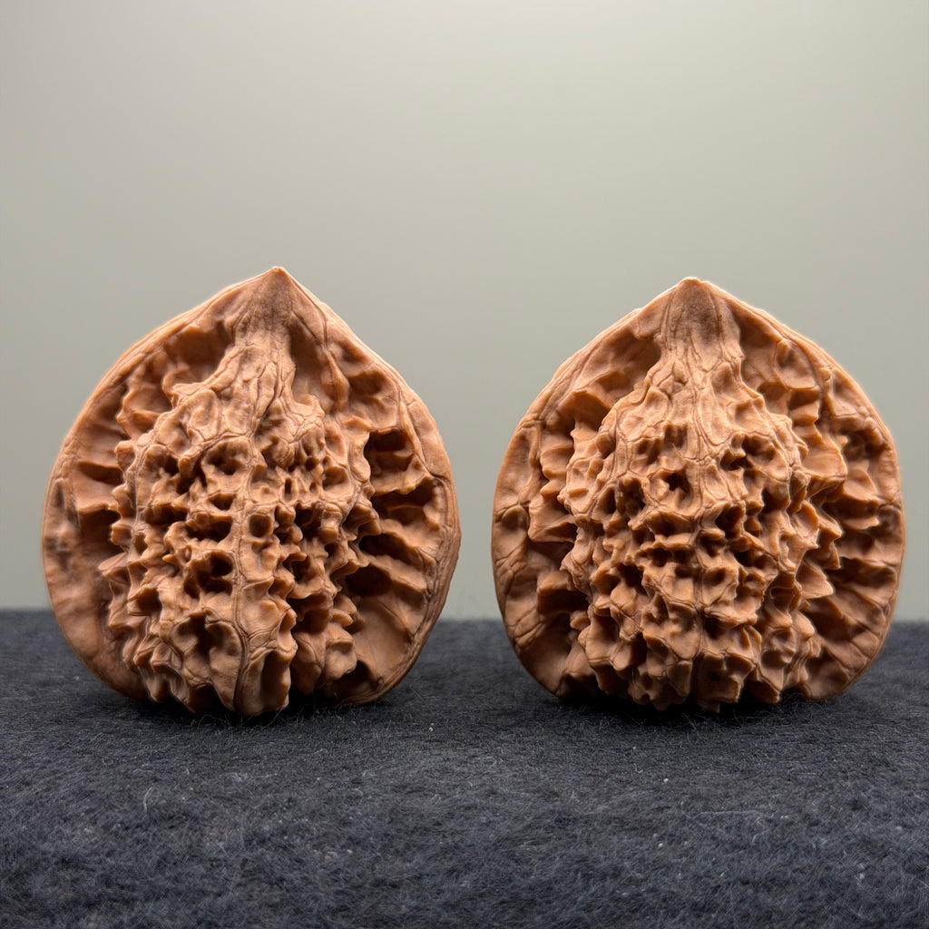 Snake Head Wenwan Walnut