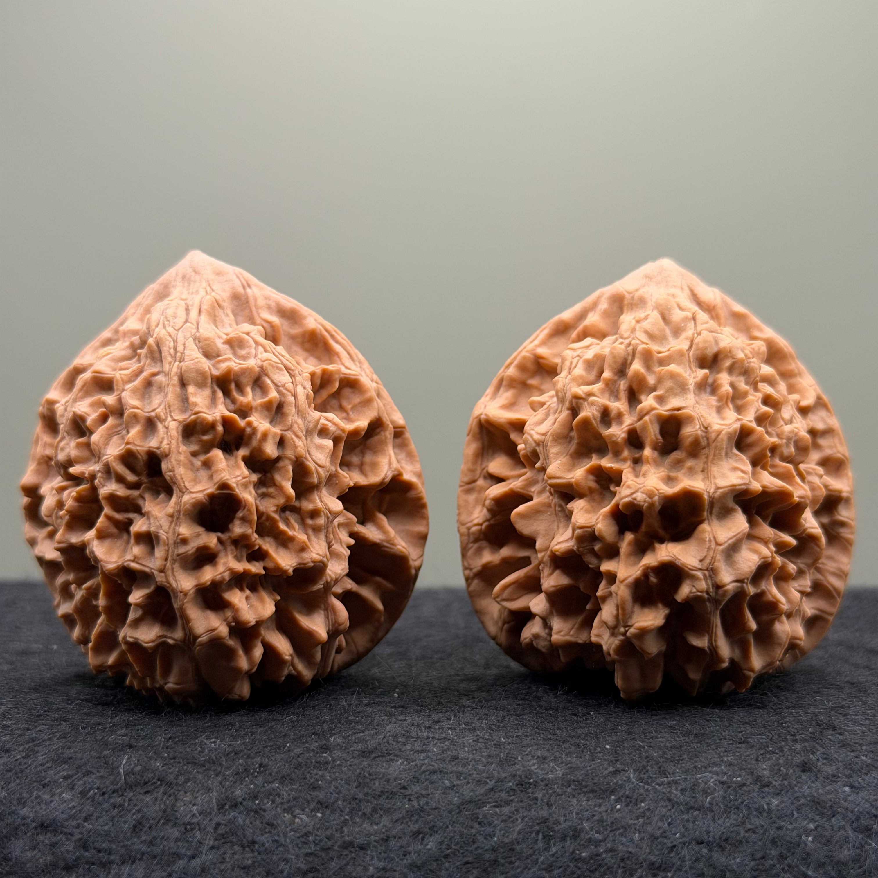 Snake Head Wenwan Walnut