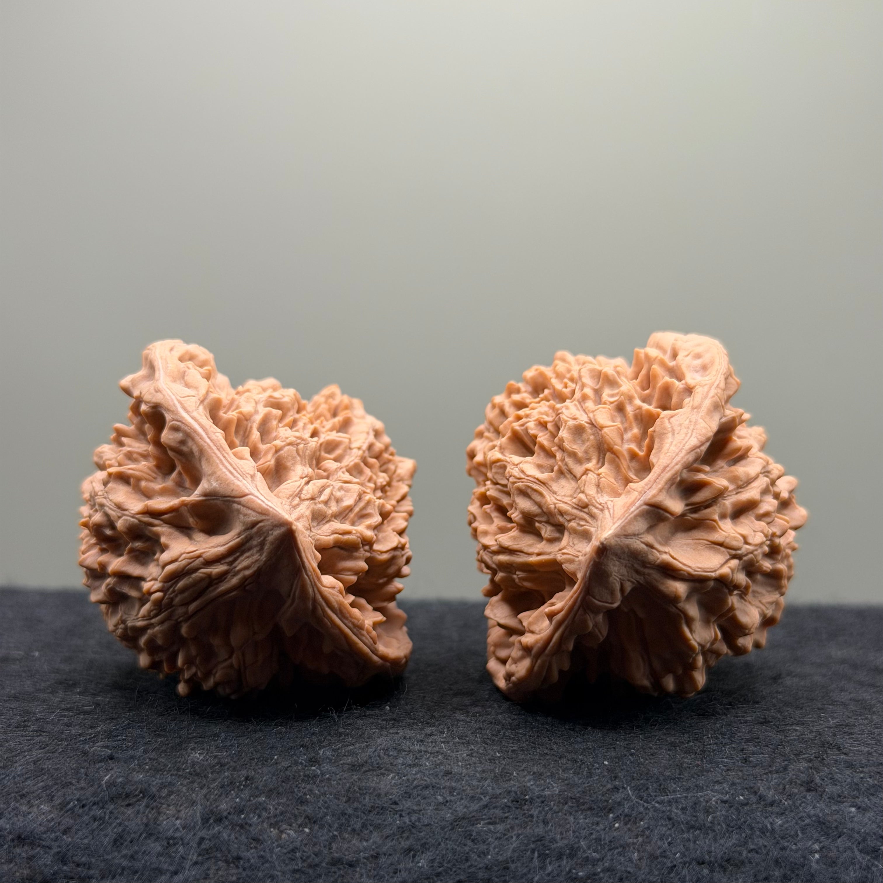 Snake Head Wenwan Walnut