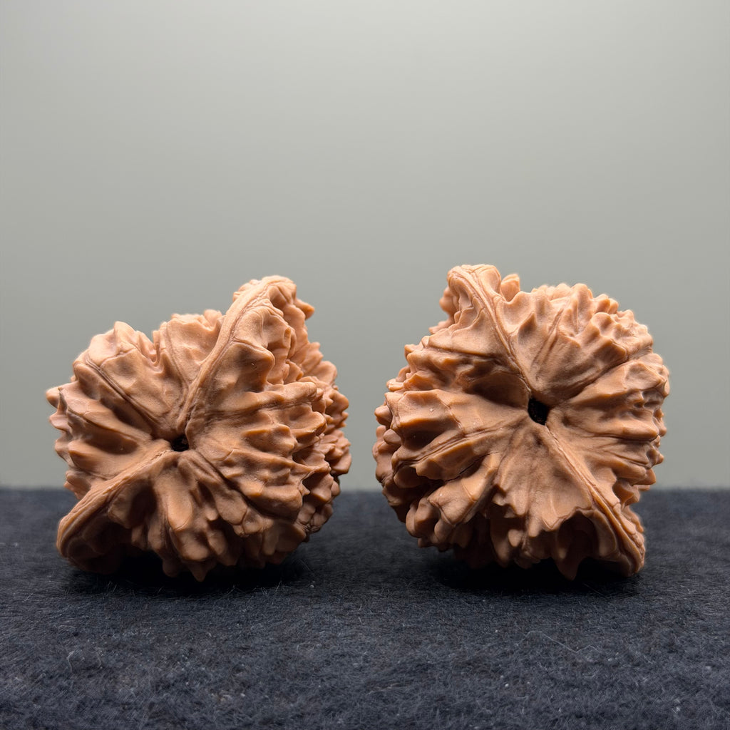 Snake Head Wenwan Walnut