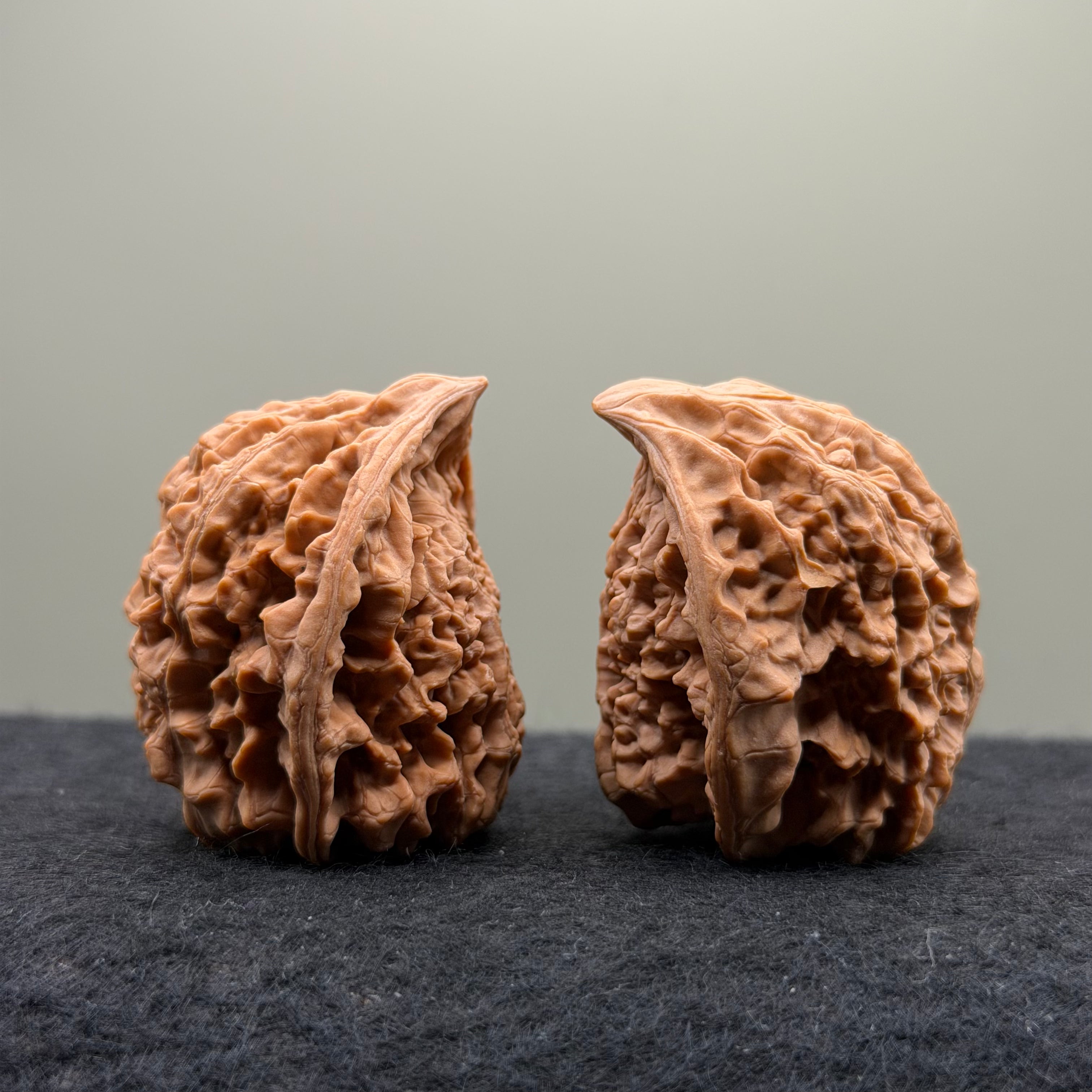 Snake Head Wenwan Walnut