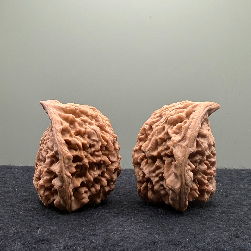 Snake Head Wenwan Walnut