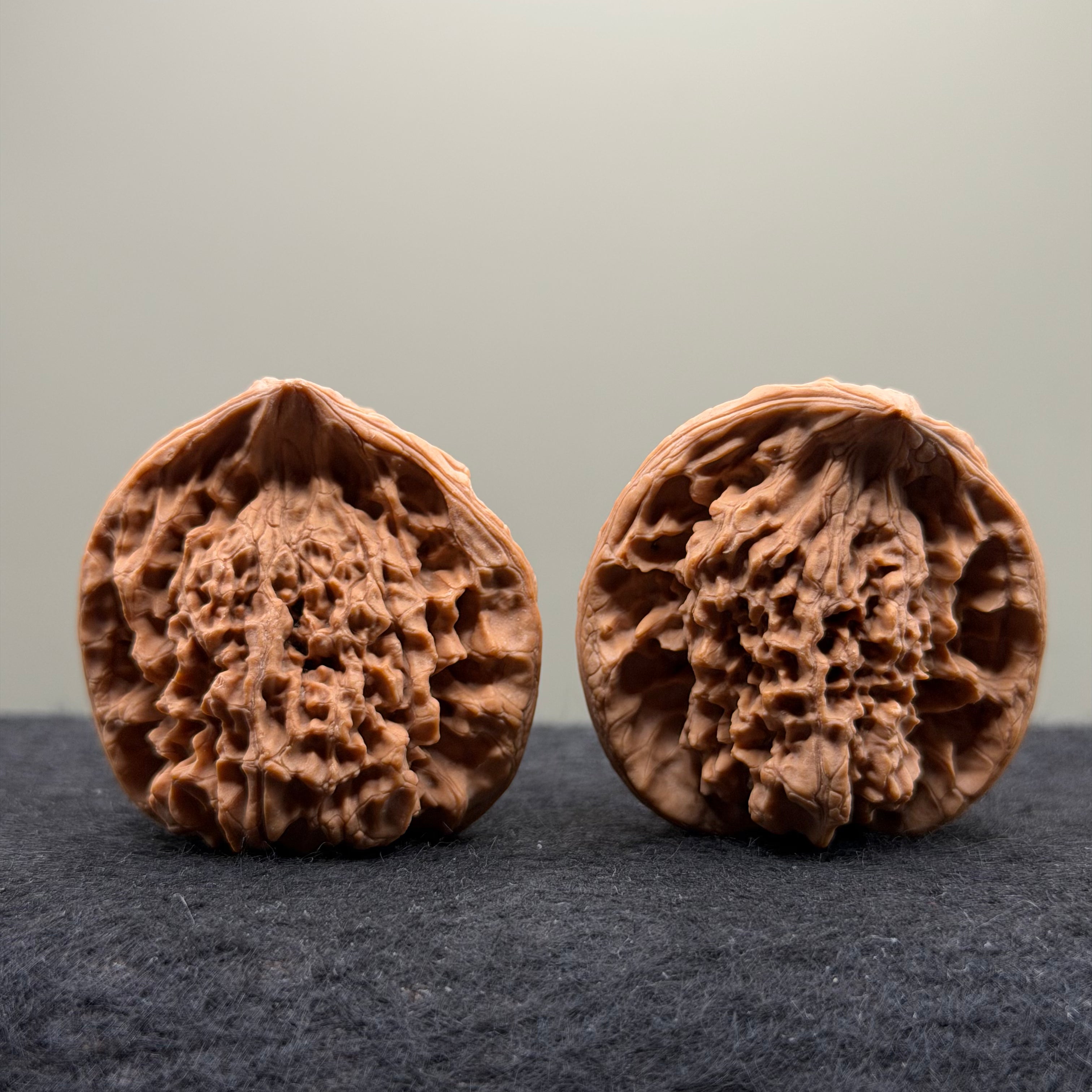 Snake Head Wenwan Walnut
