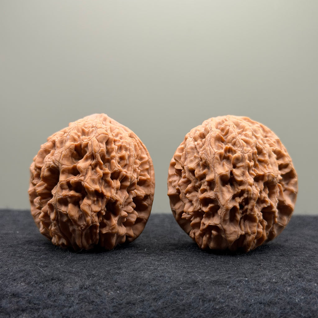 Snake Head Wenwan Walnut