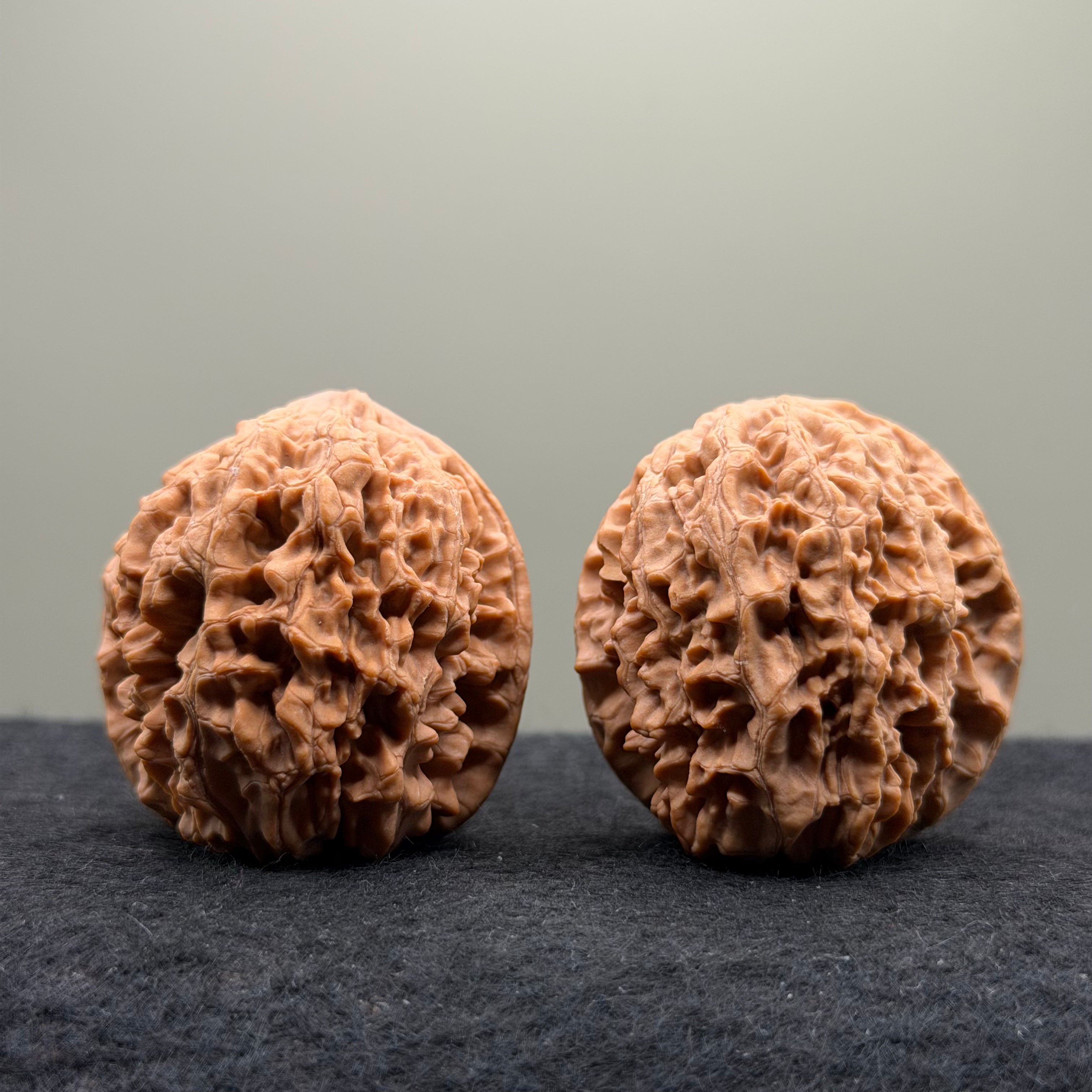 Snake Head Wenwan Walnut