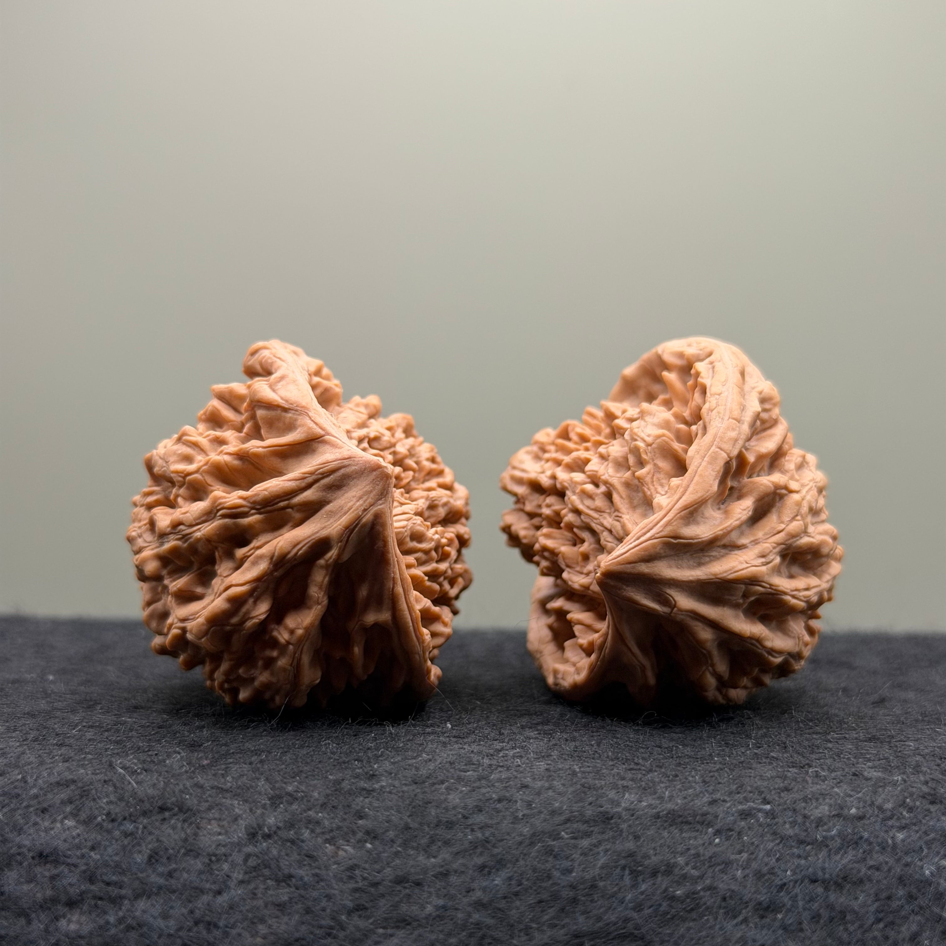Snake Head Wenwan Walnut