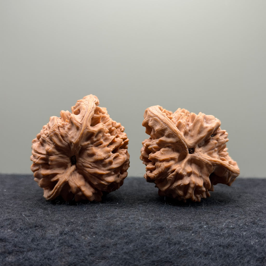 Snake Head Wenwan Walnut