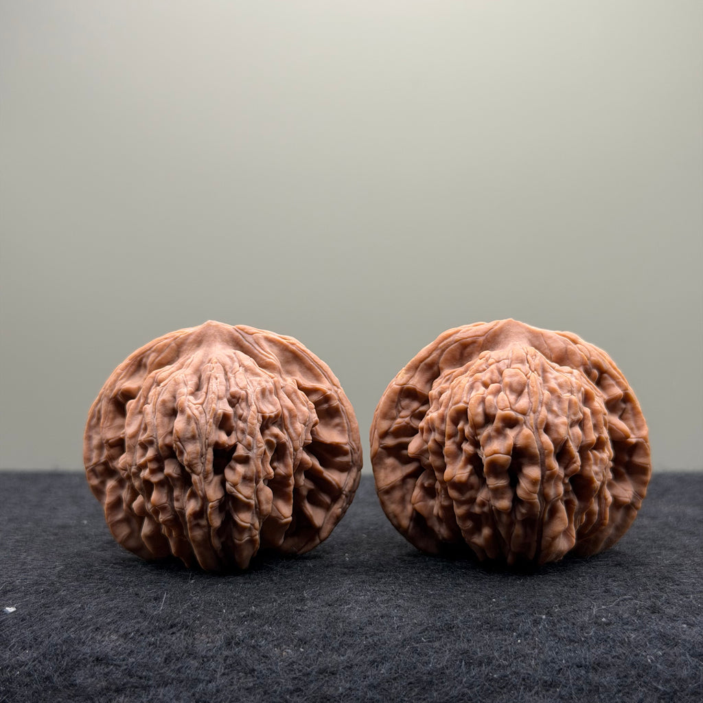 Four Towers Wenwan Walnut