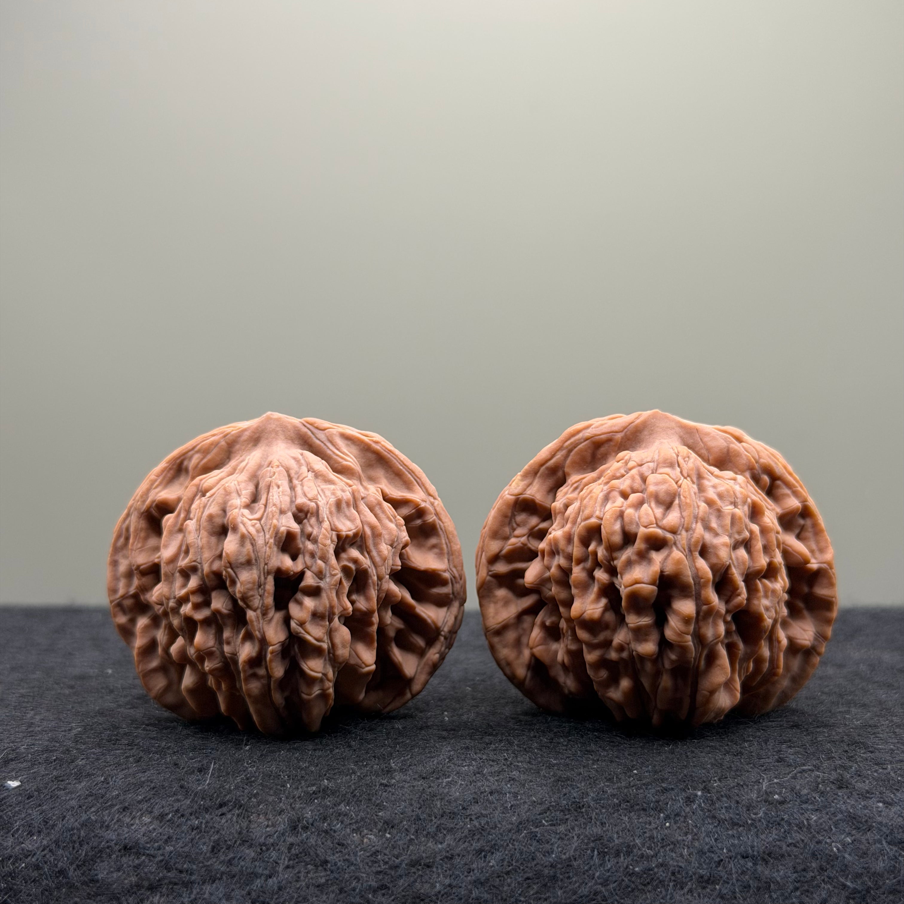 Four Towers Wenwan Walnut