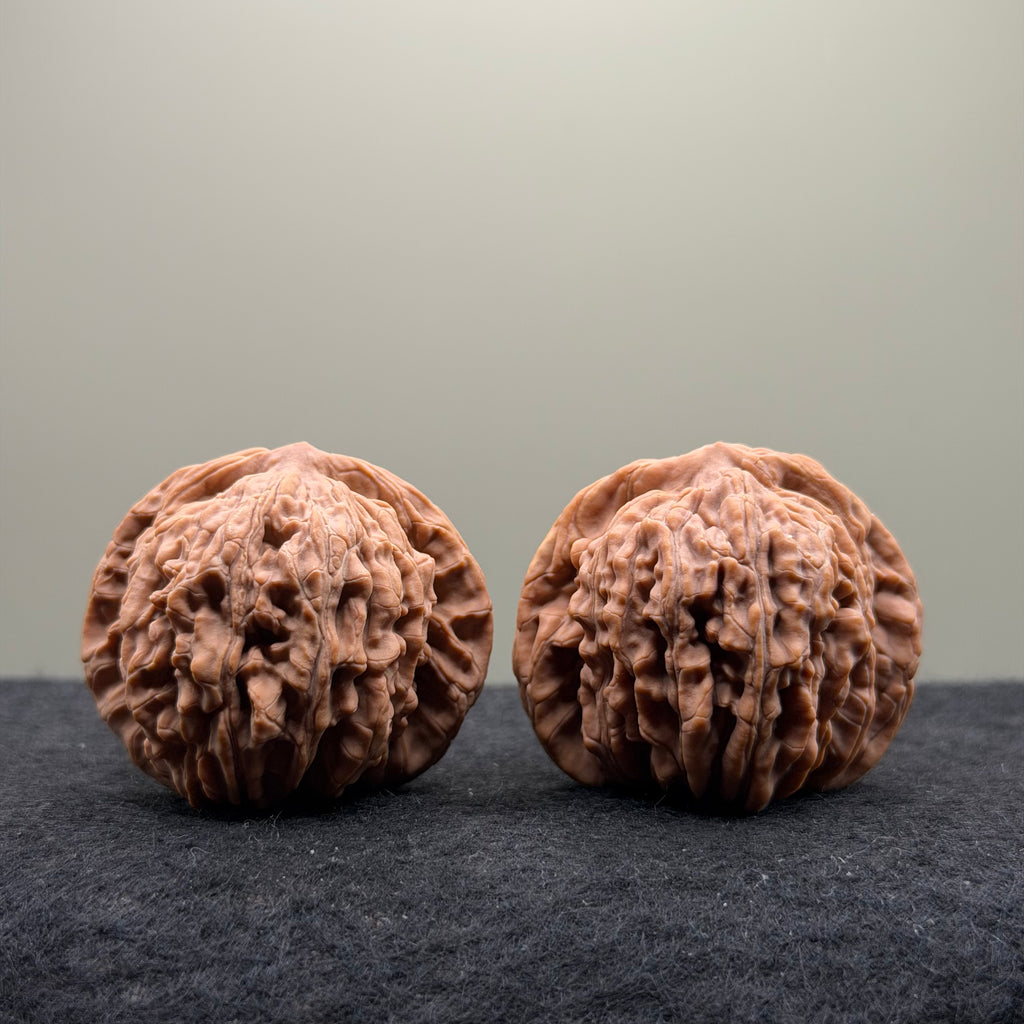 Four Towers Wenwan Walnut