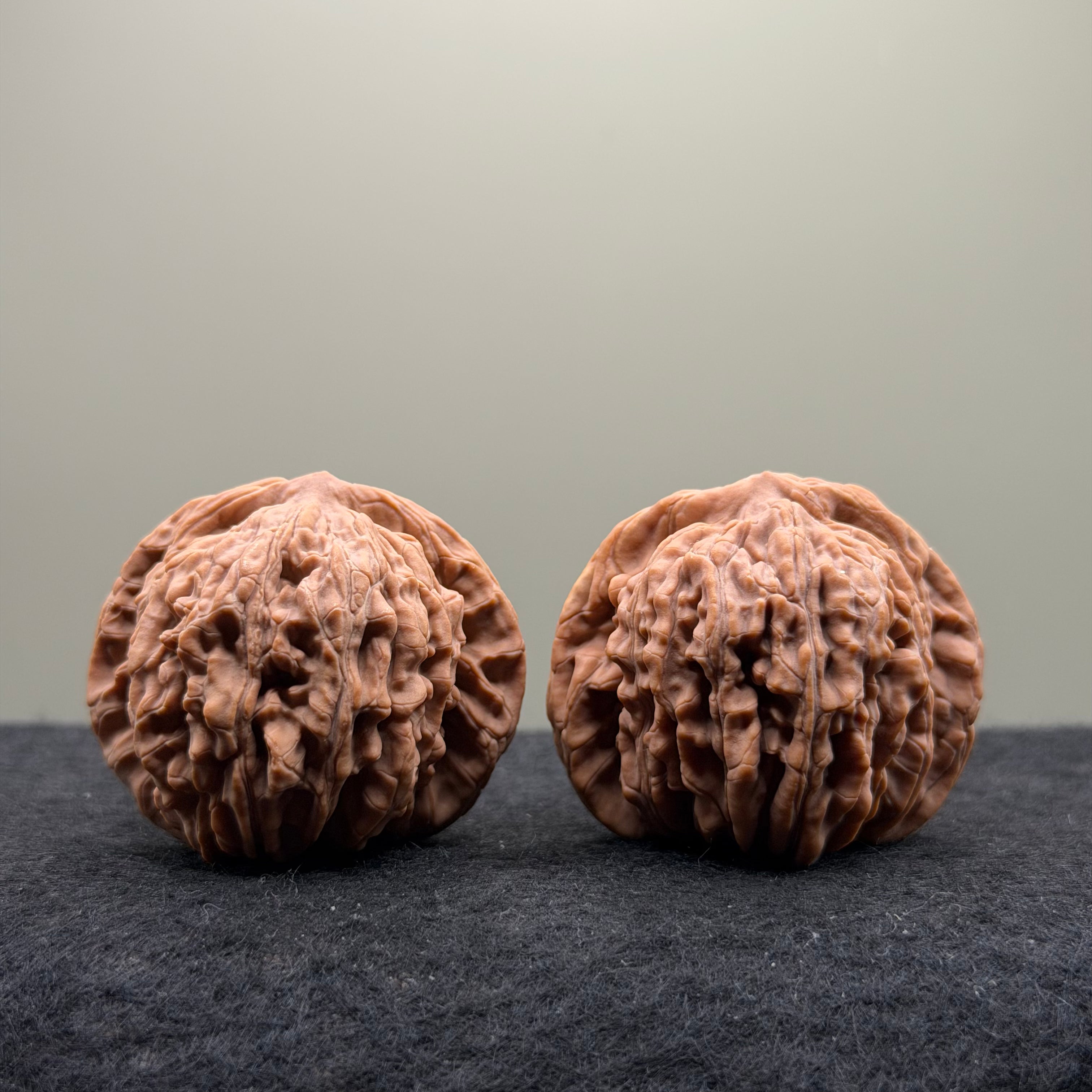 Four Towers Wenwan Walnut