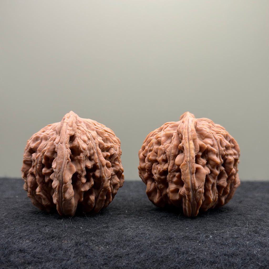 Four Towers Wenwan Walnut