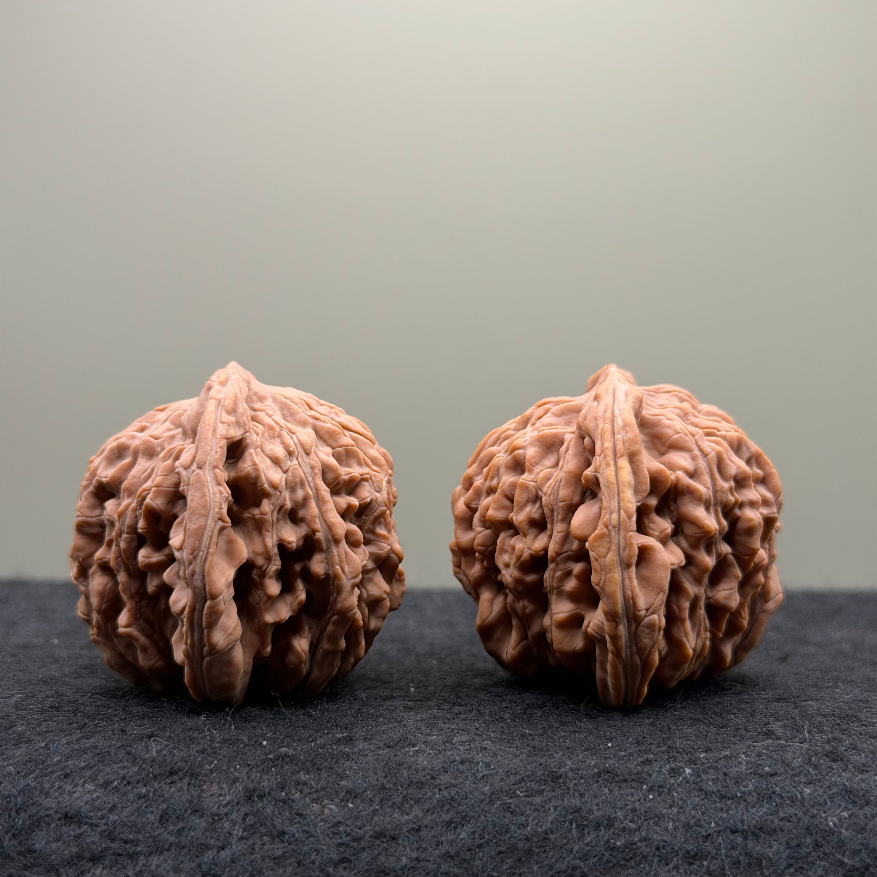 Four Towers Wenwan Walnut
