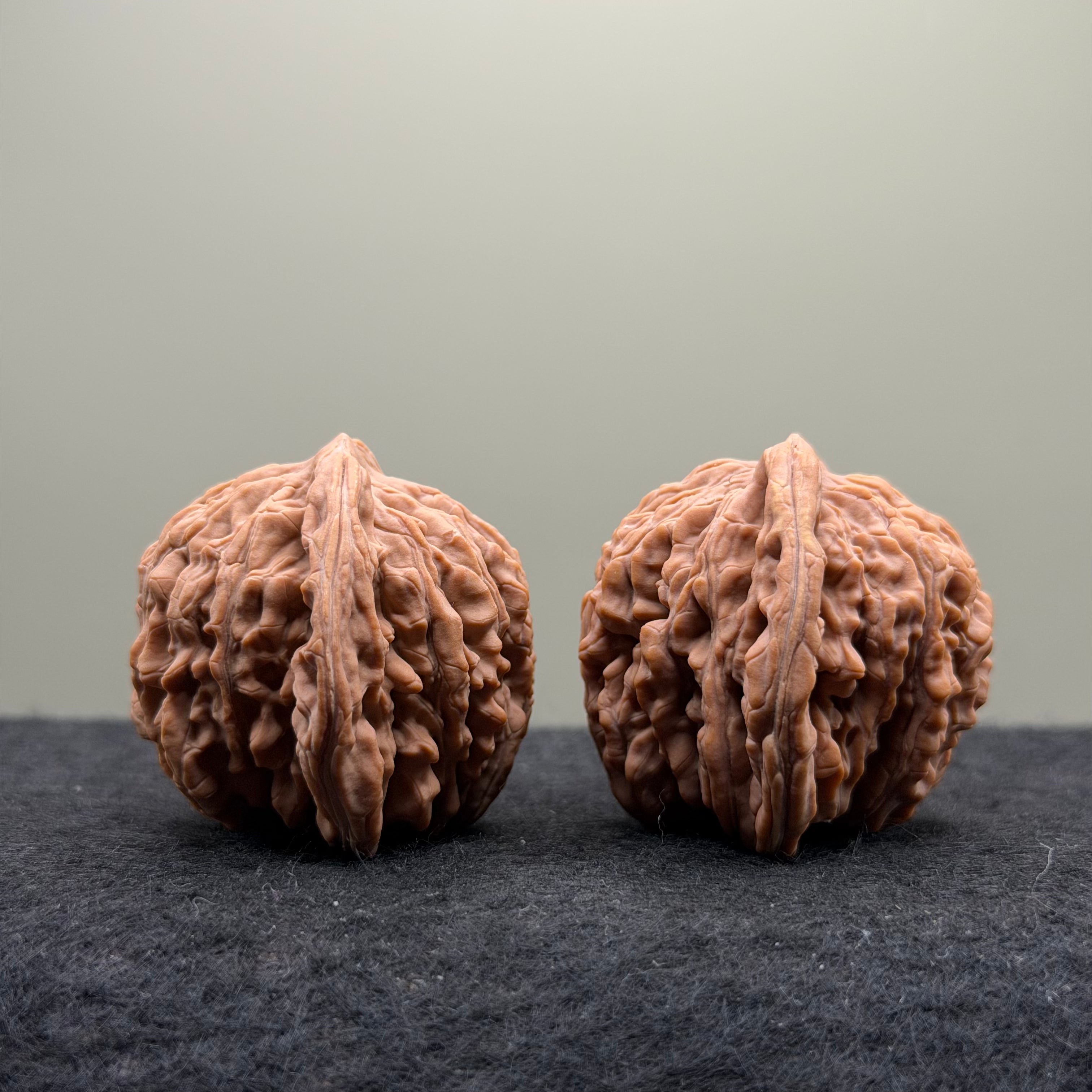 Four Towers Wenwan Walnut