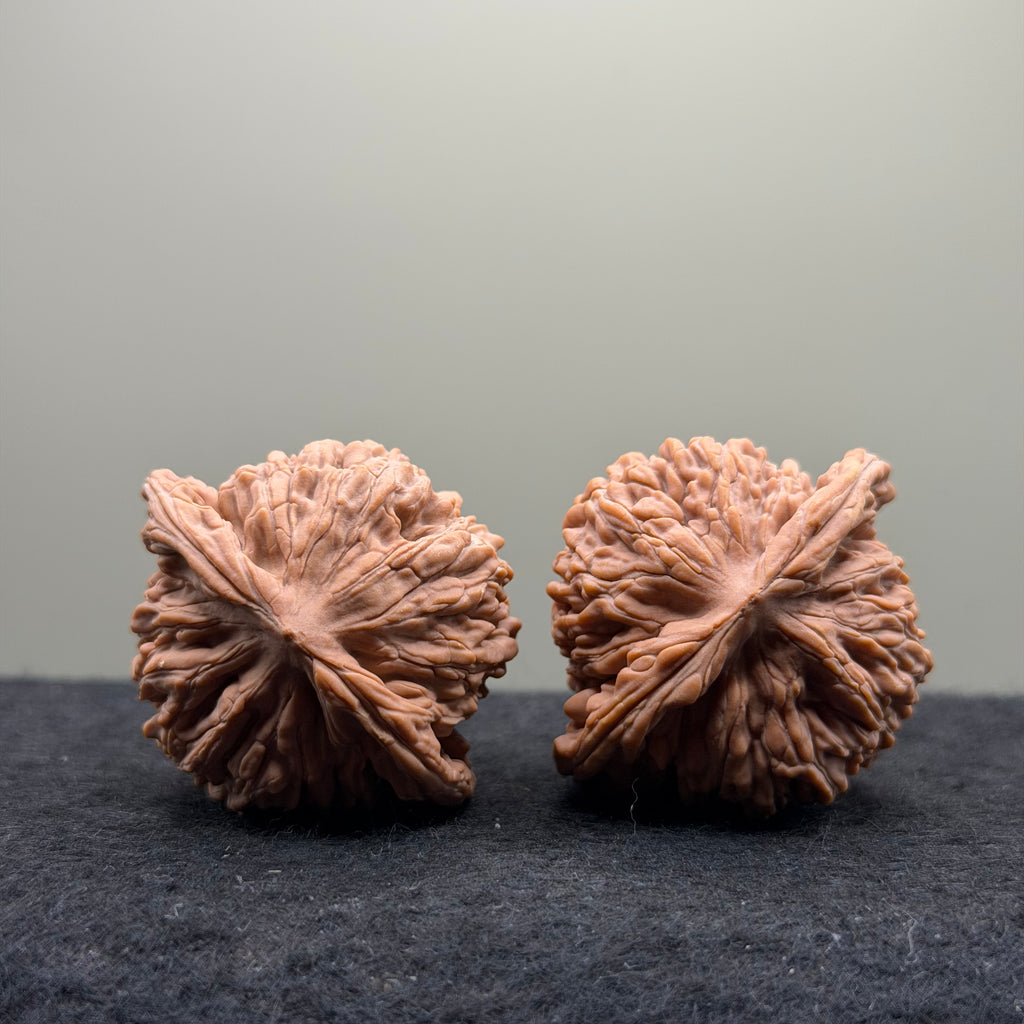 Four Towers Wenwan Walnut