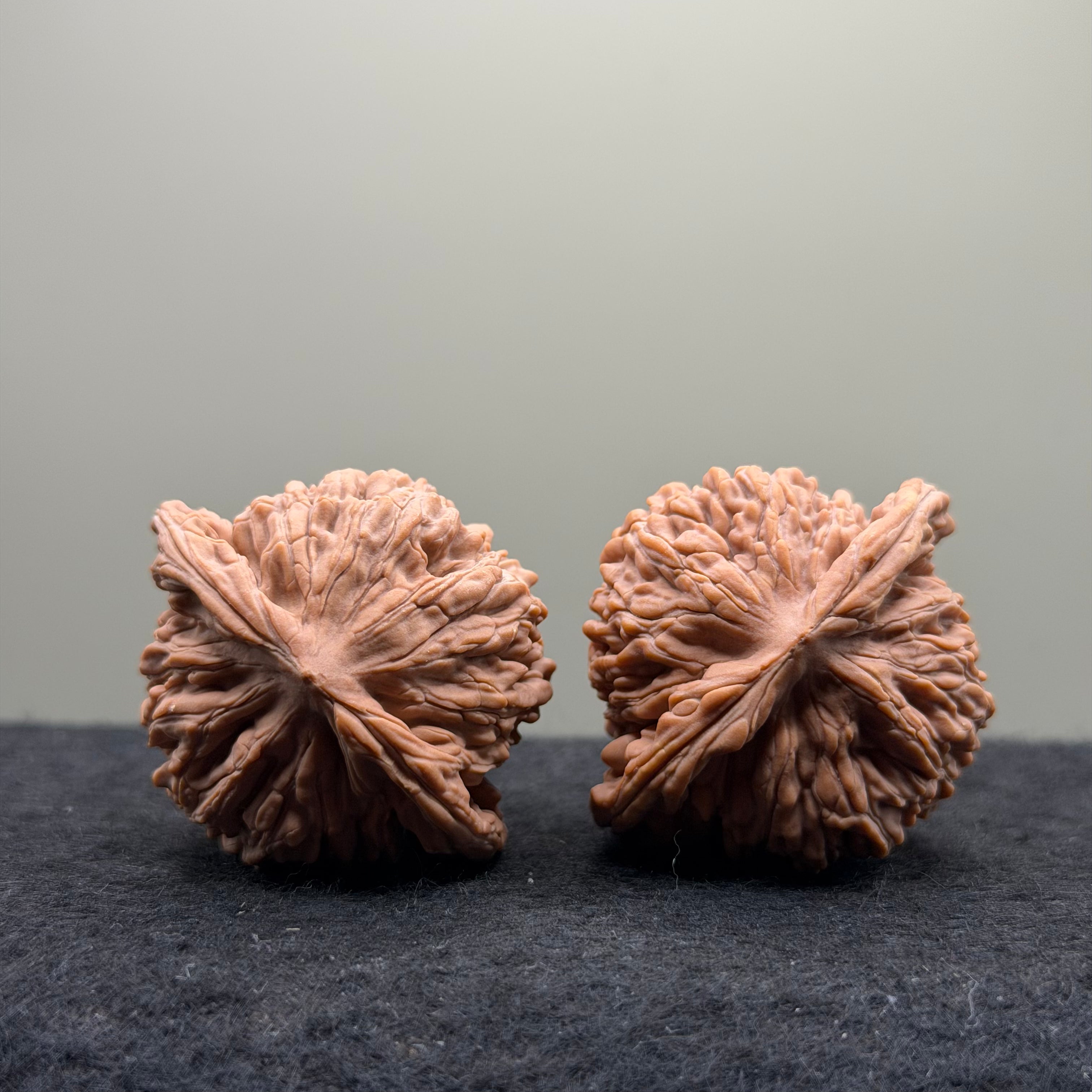 Four Towers Wenwan Walnut