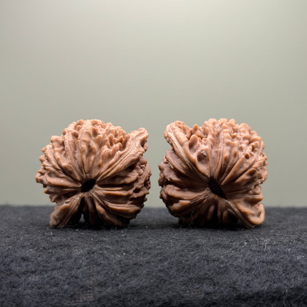 Four Towers Wenwan Walnut