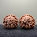 Four Towers Wenwan Walnut