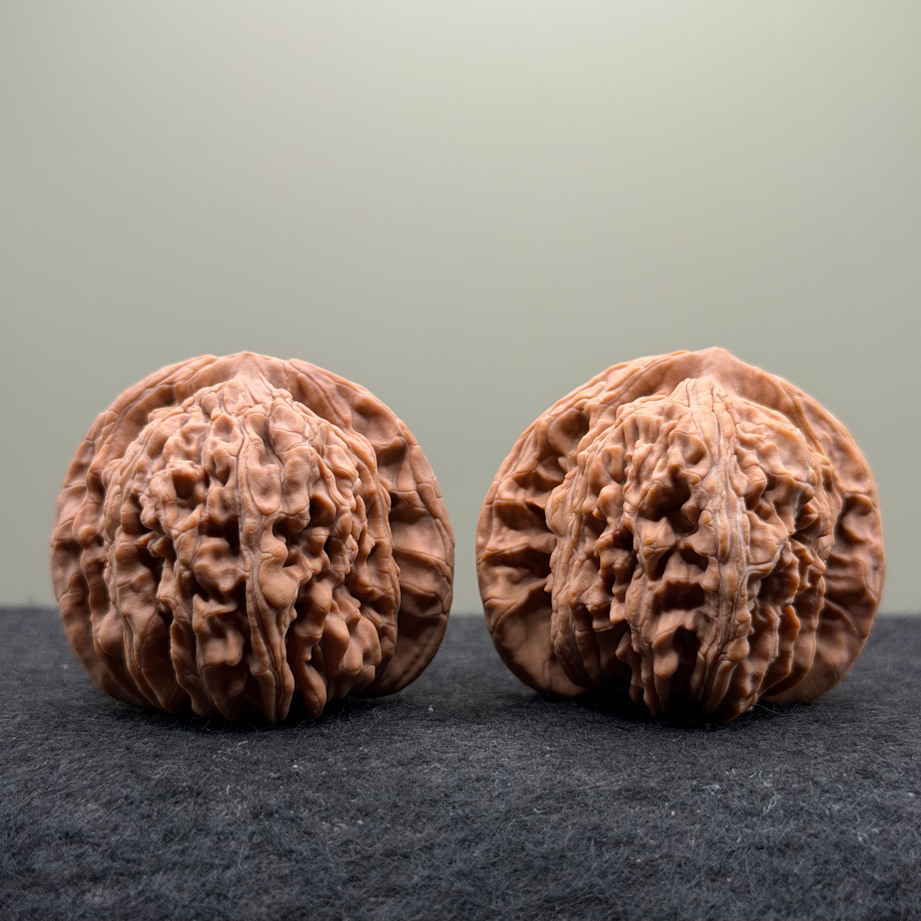 Four Towers Wenwan Walnut