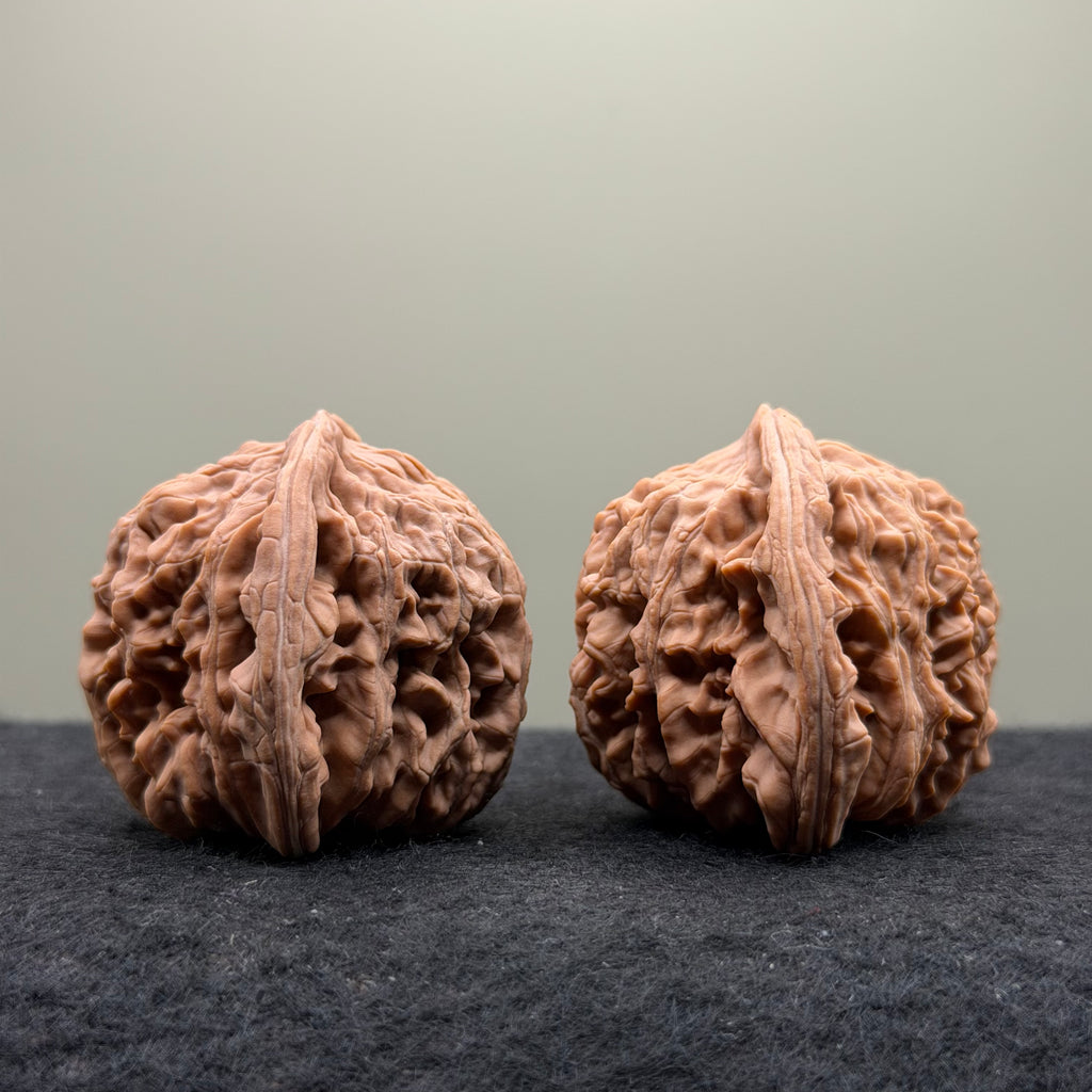 Four Towers Wenwan Walnut