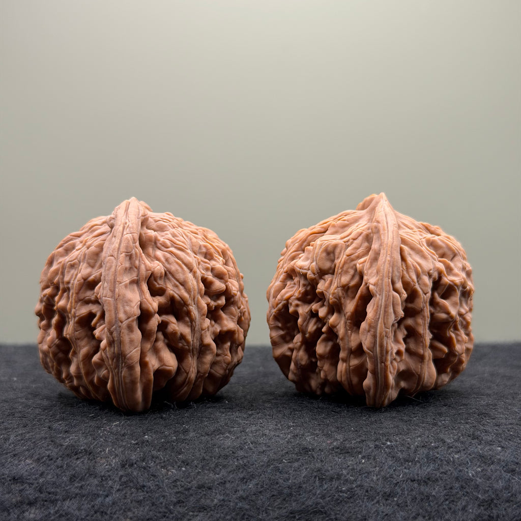 Four Towers Wenwan Walnut